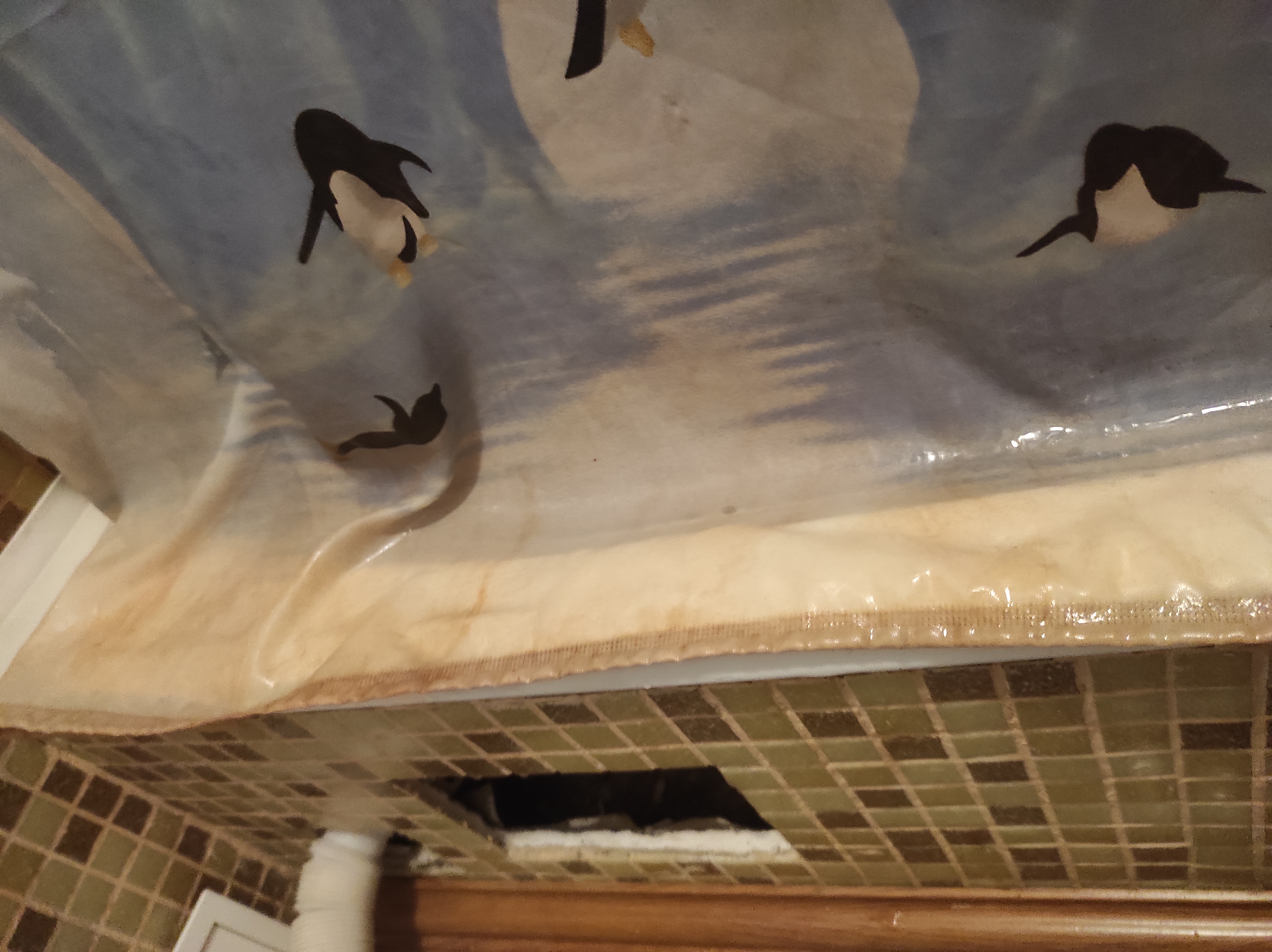 Фото Саттурн