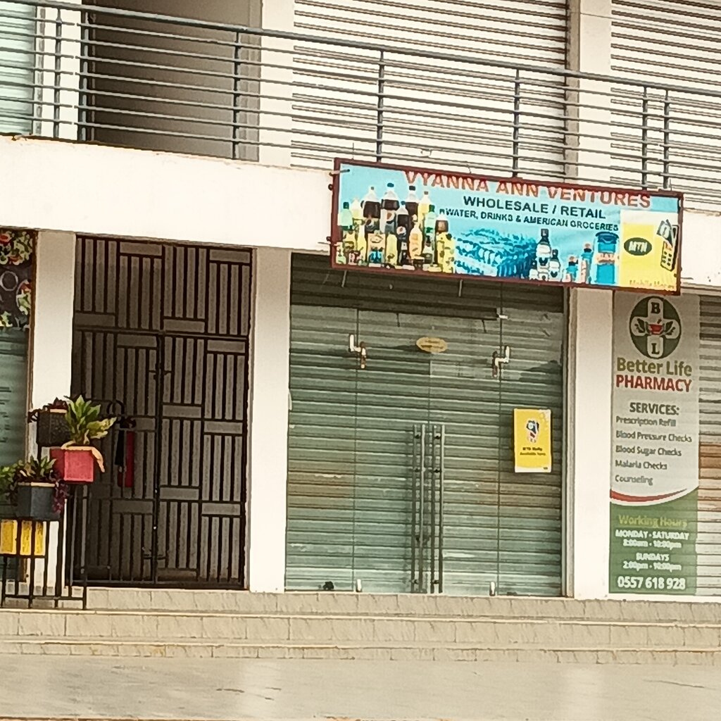 Business center Vyanna Ann ventures, Earth, photo