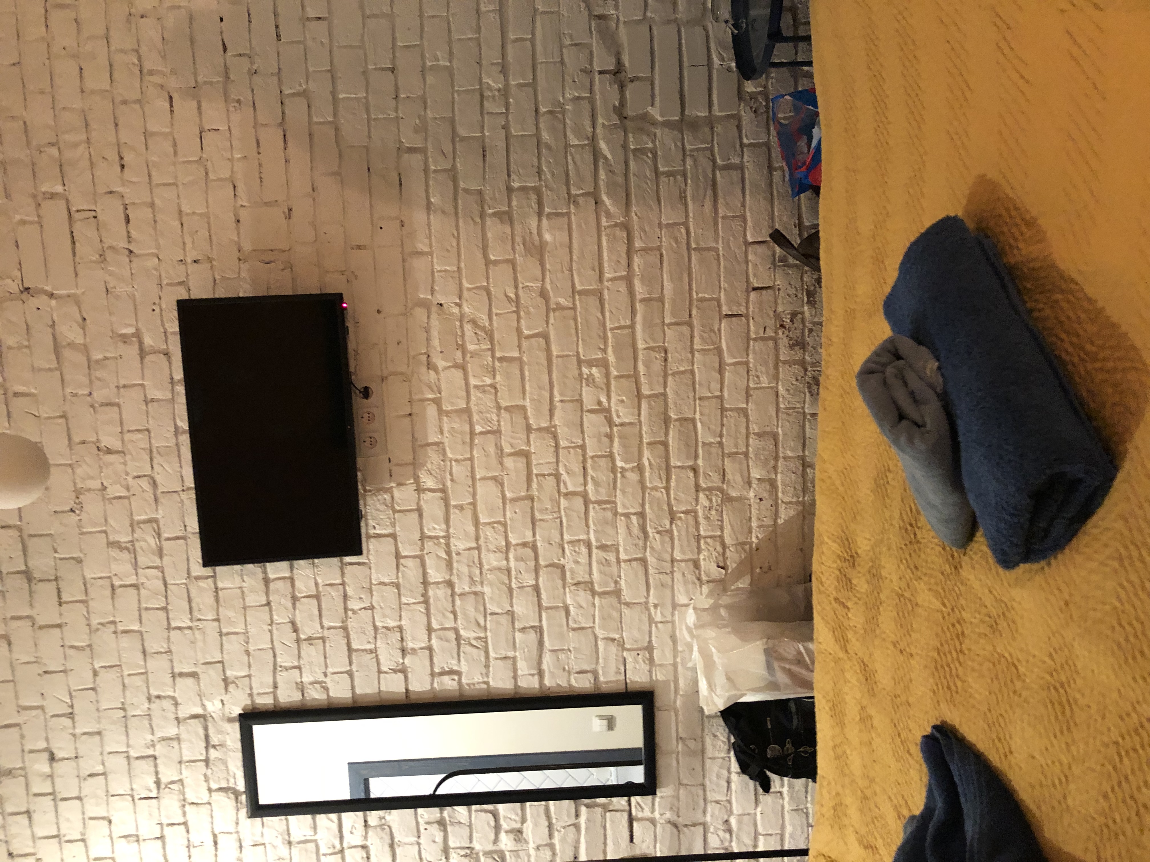 Фото Птица-Синица