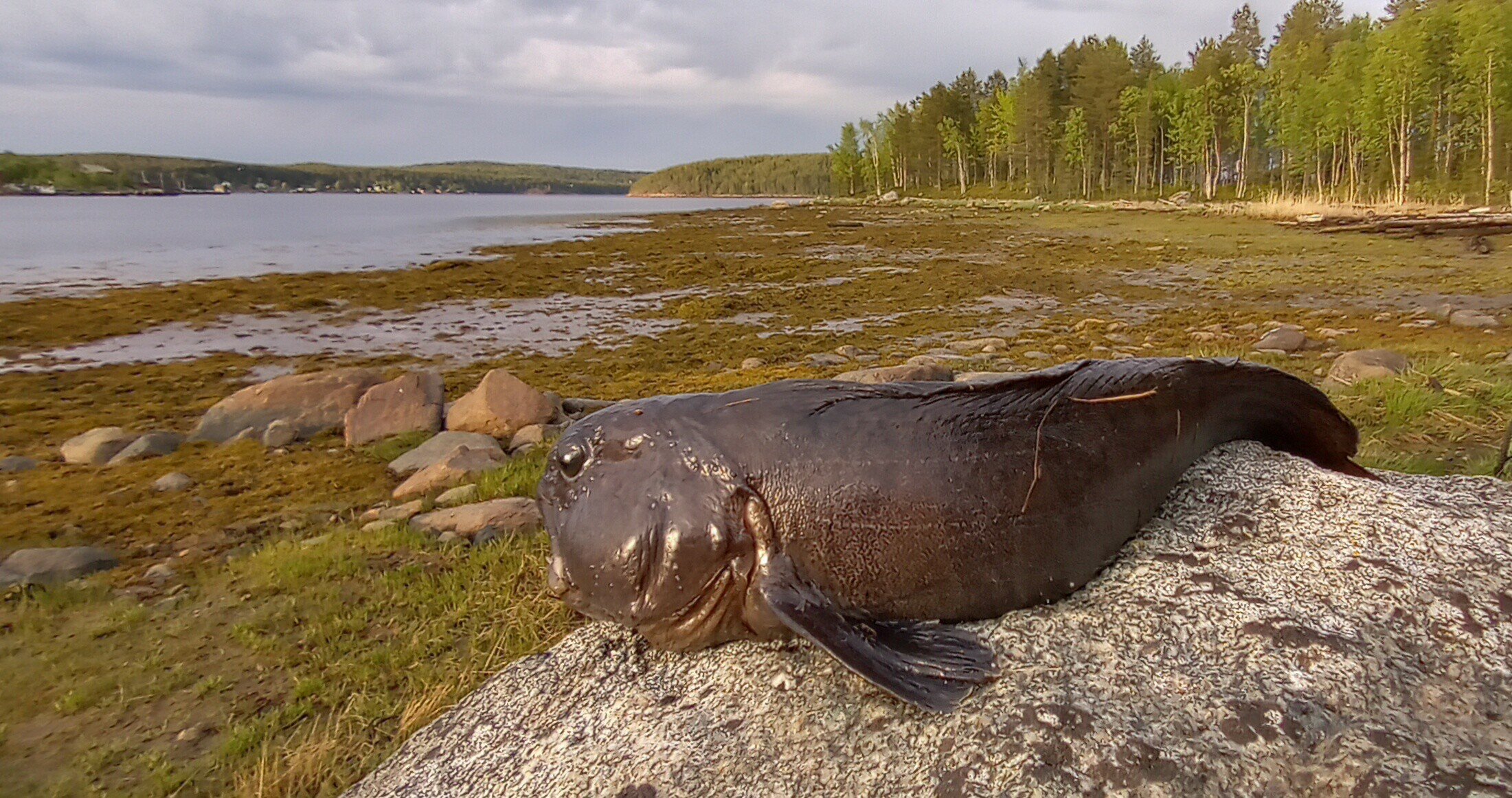 Фото Точка Притяжения