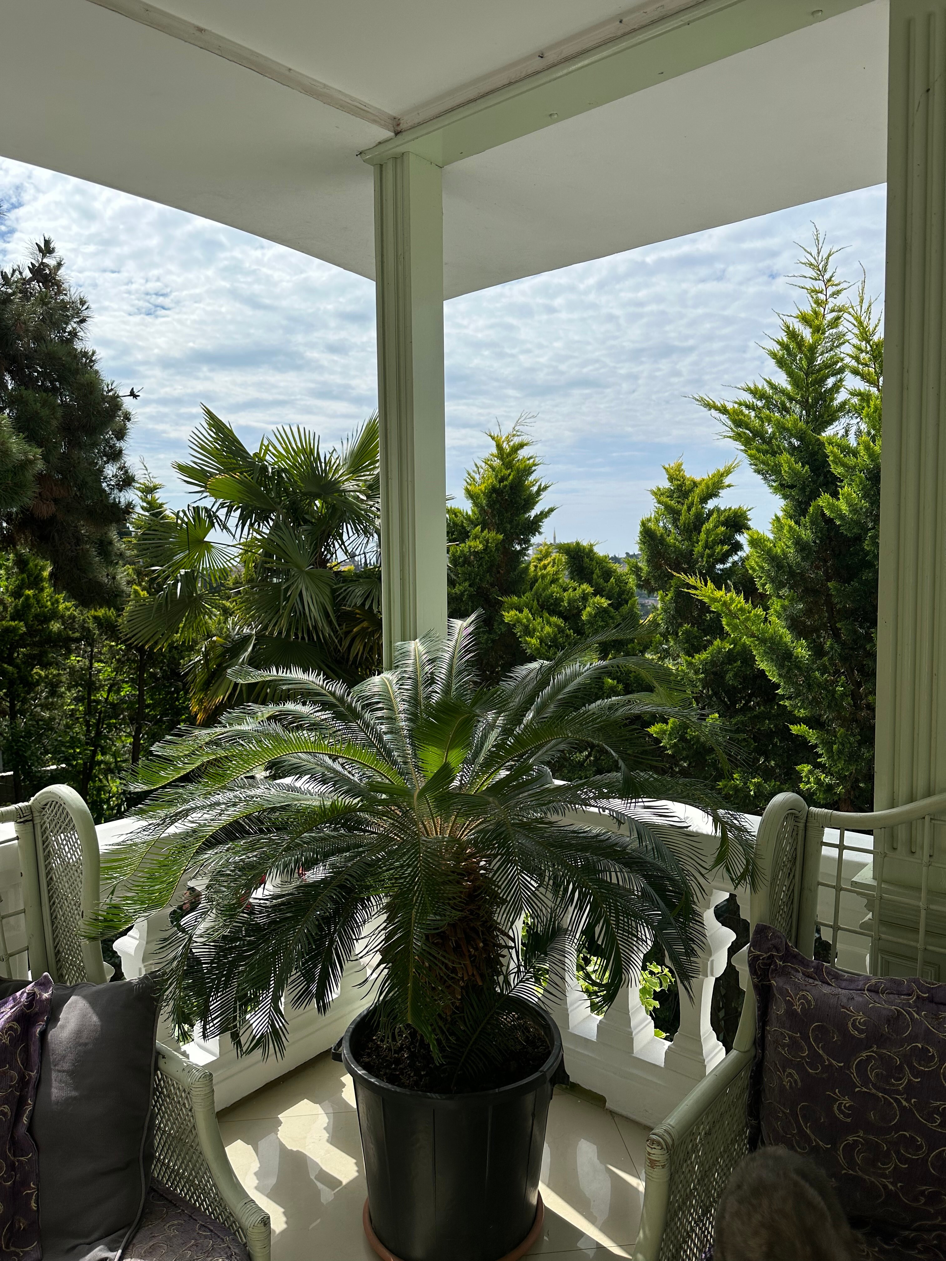 Фото Бон Мезон