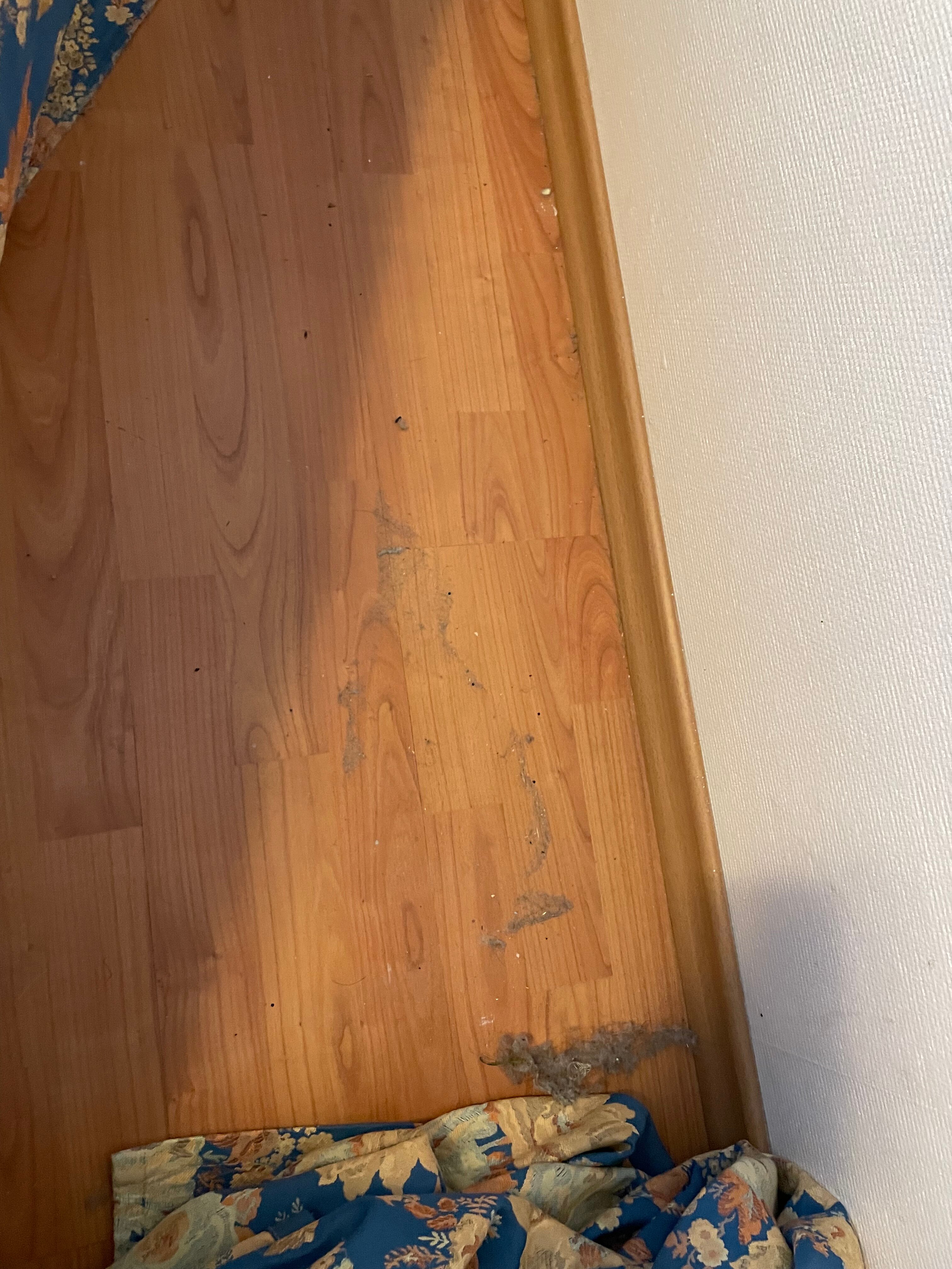 Фото Свирская