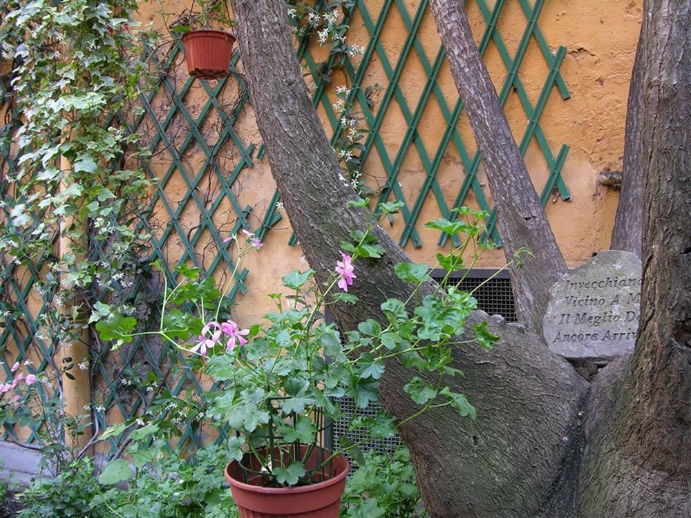 Фото Navona Gallery Suites