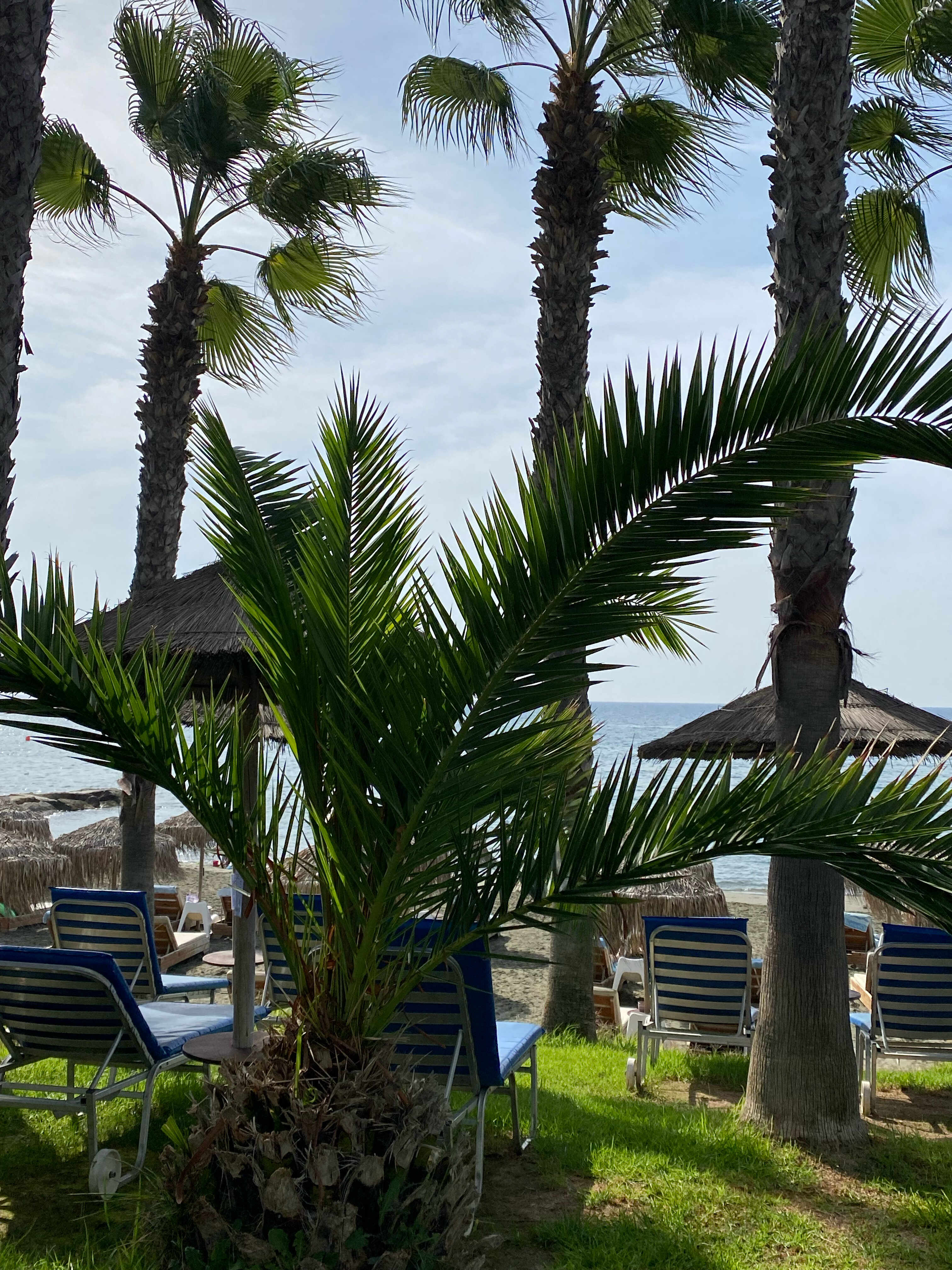 Фото GrandResort