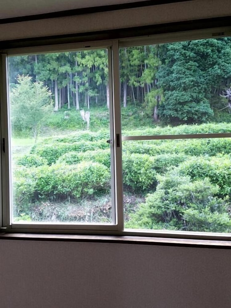 Фото Guesthouse-Lahar- Hostel