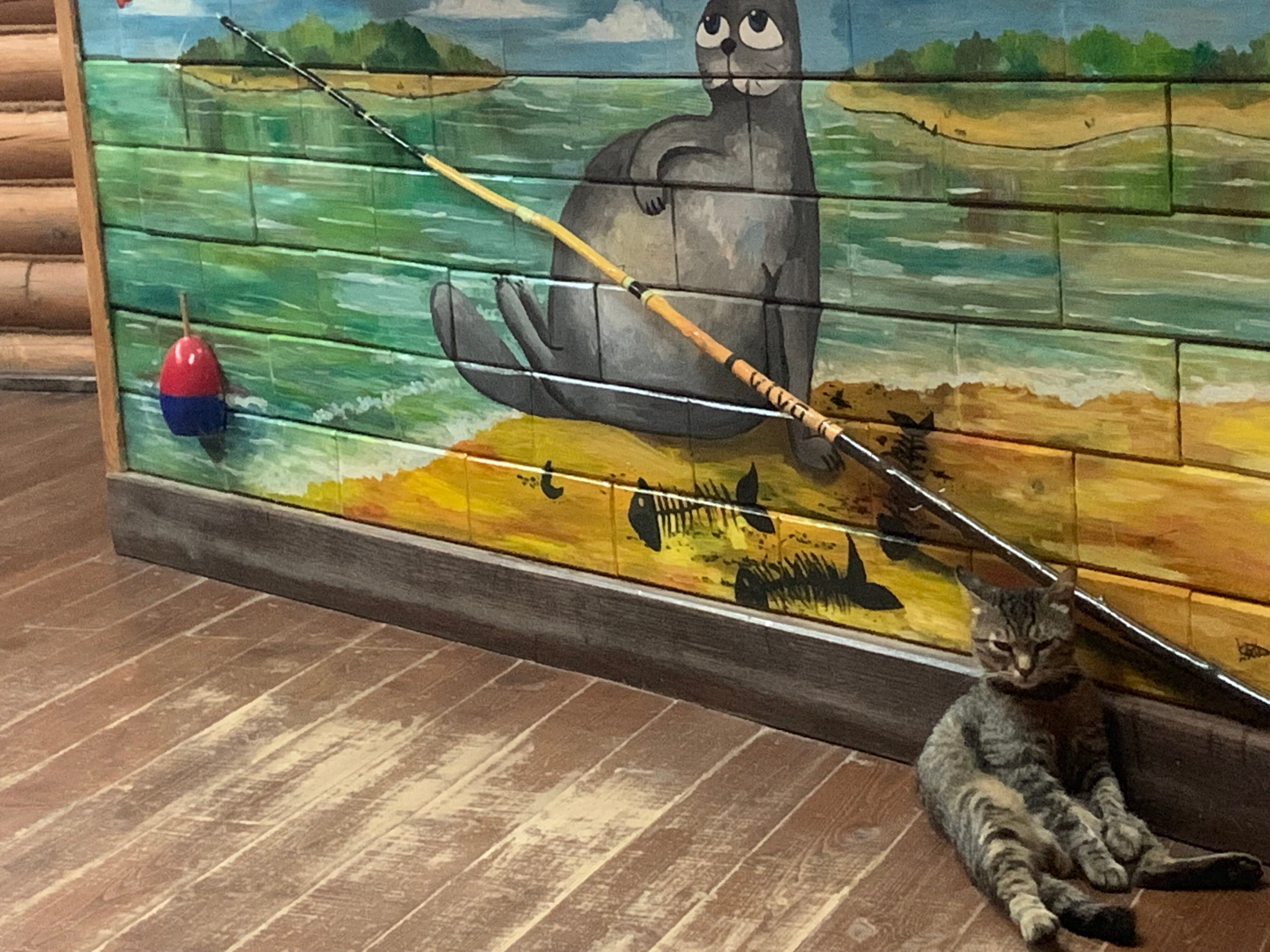 Фото Седьмое Небо