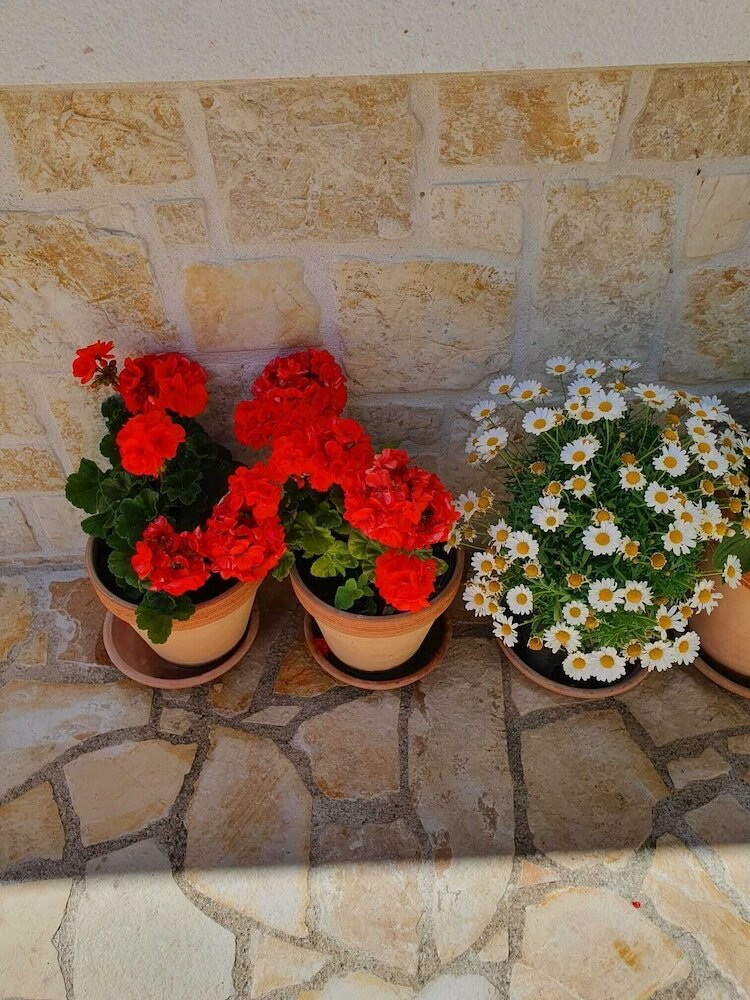 Фото Beach House Calendula