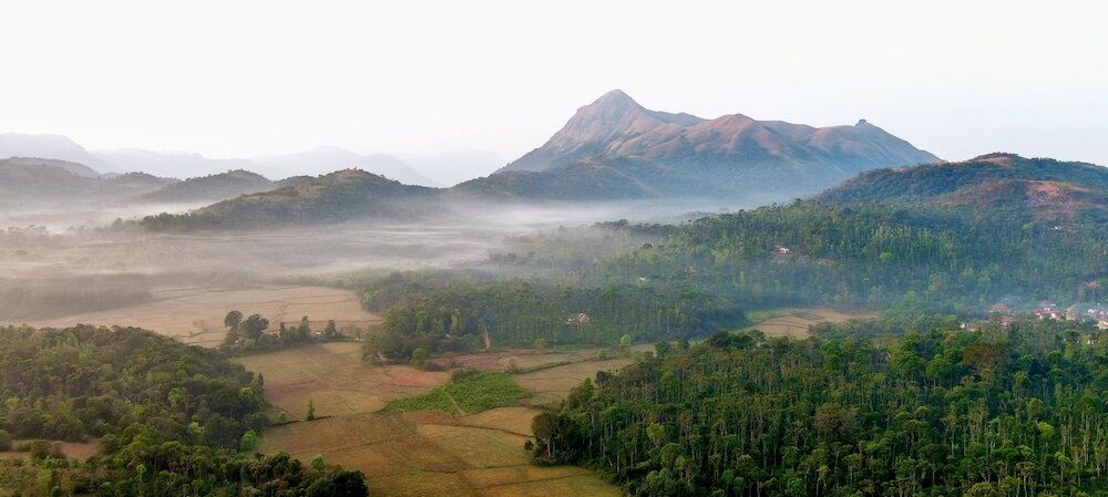Фото Machaan Plantation Resorts Sakleshpur