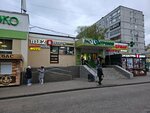 Iskra (Pushkinskoye shosse, 4А), photography
