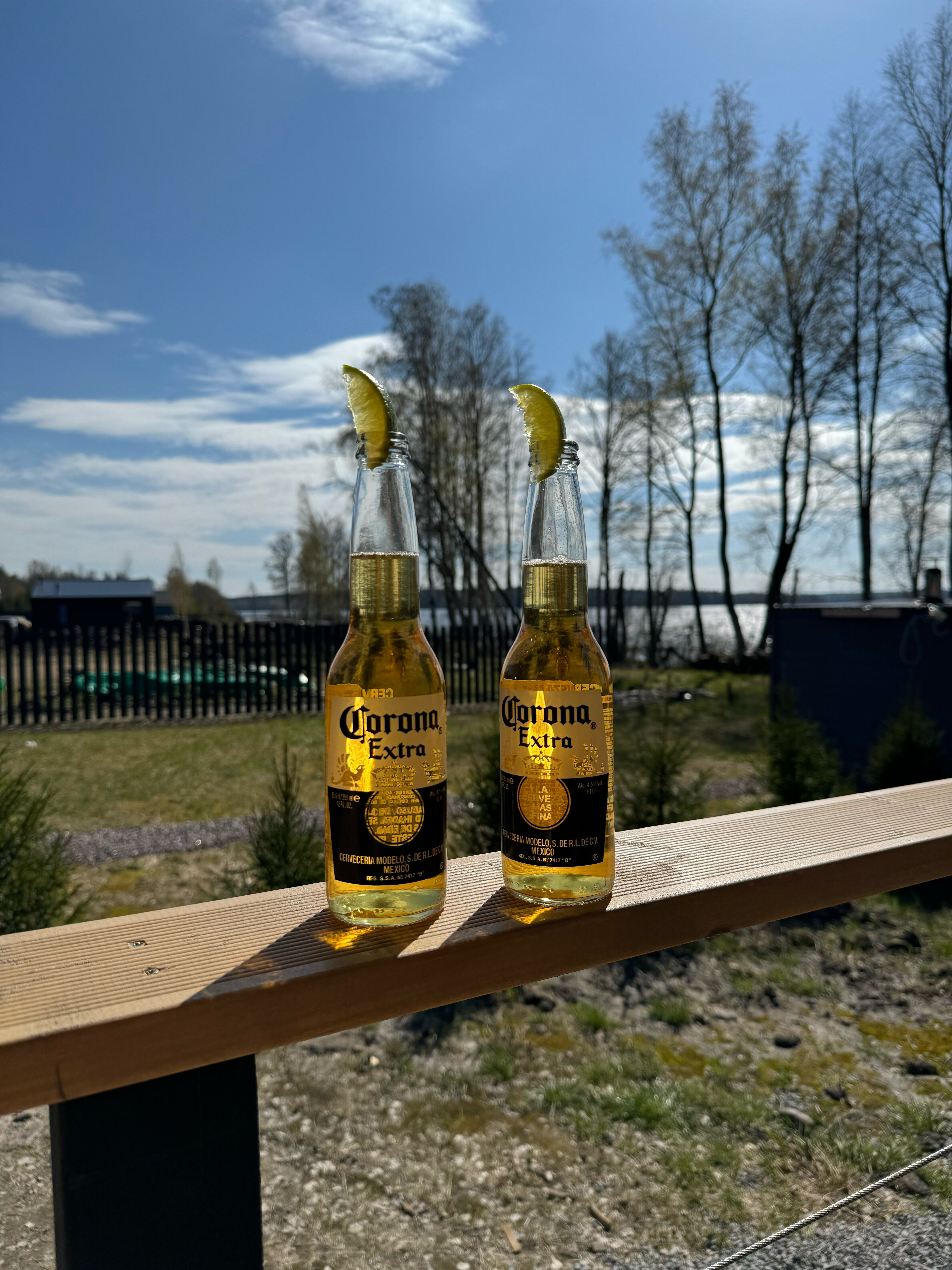 Фото Мамонт на озере