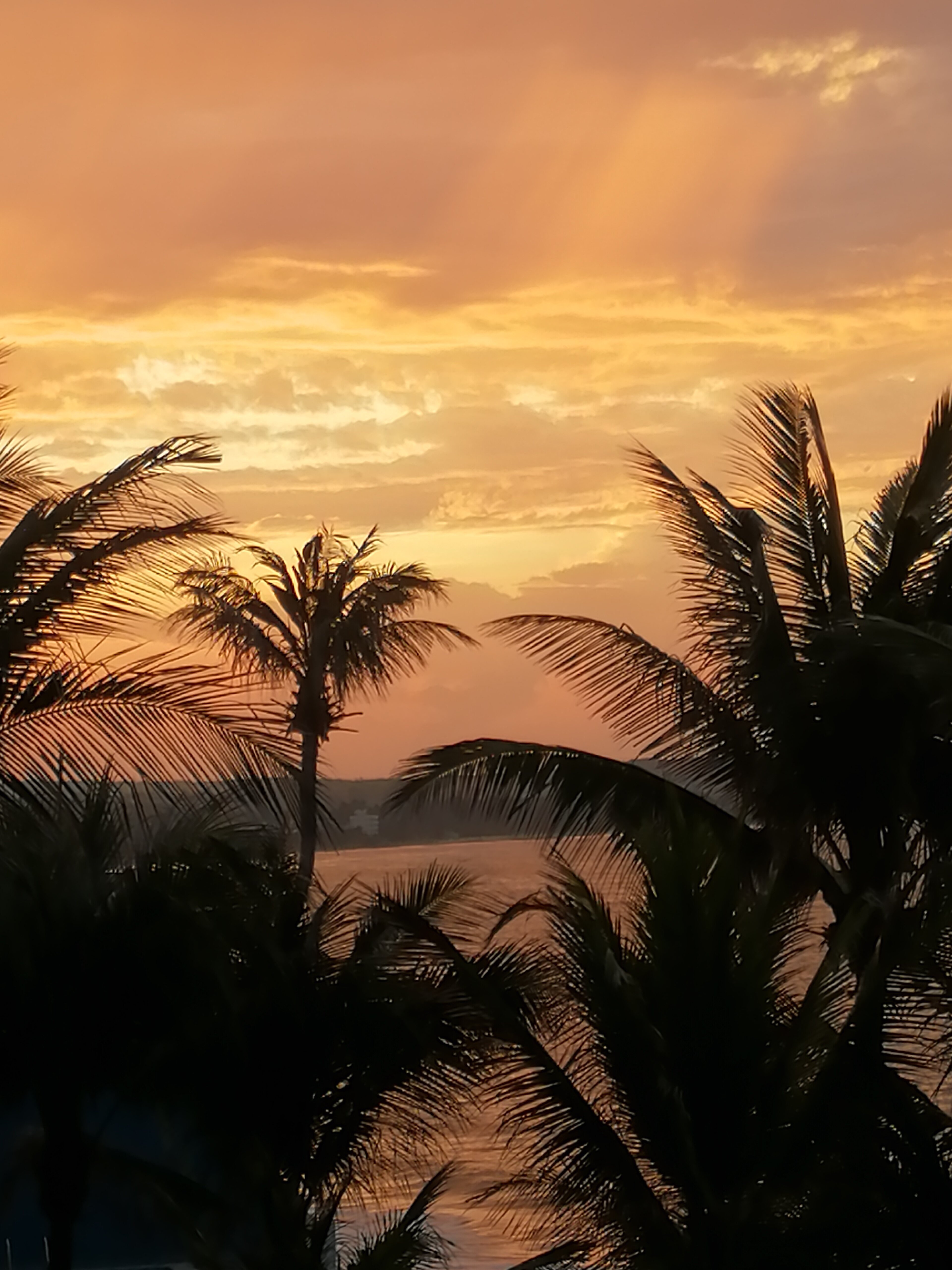 Фото Novela Muine Resort & SPA