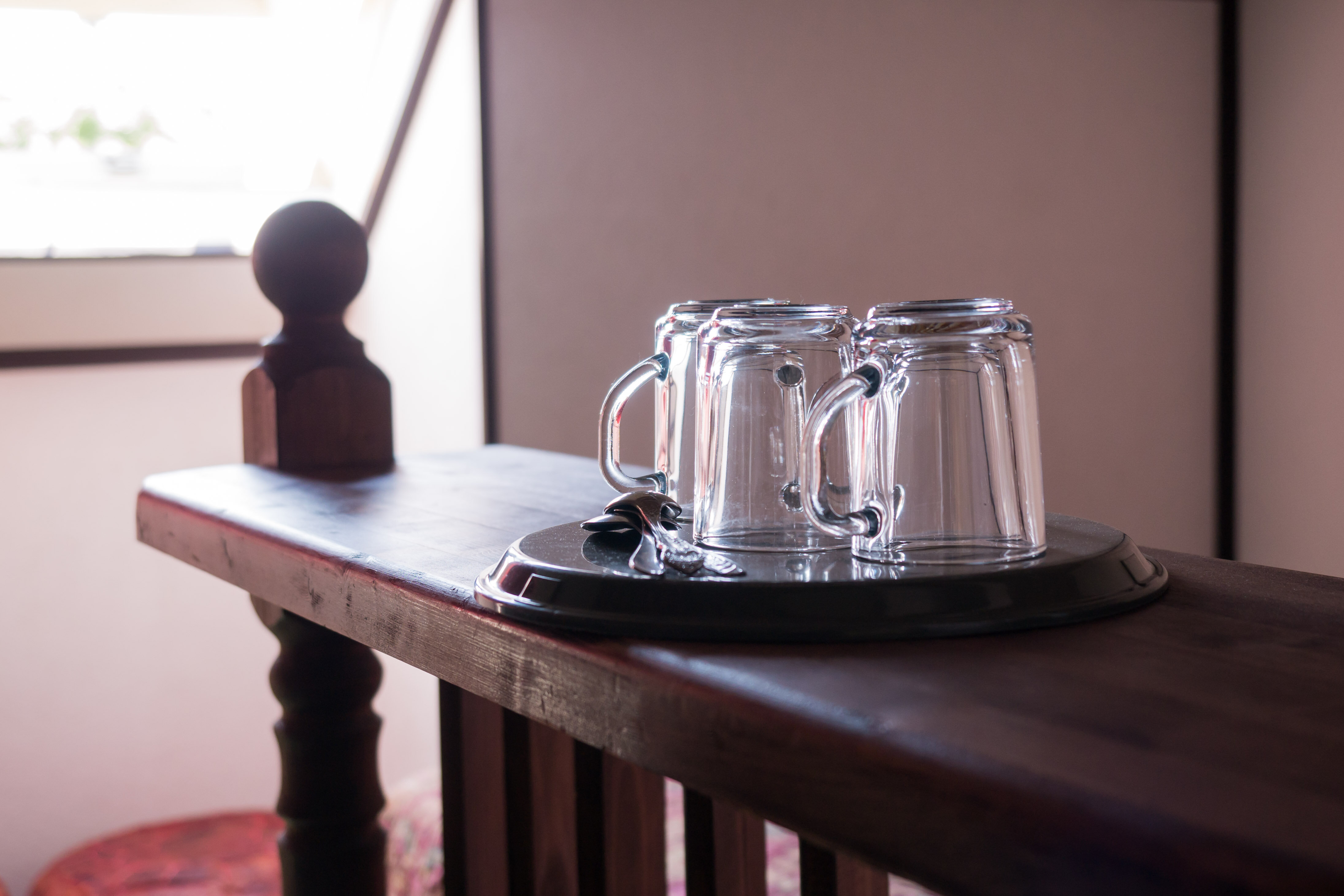 Фото Березы