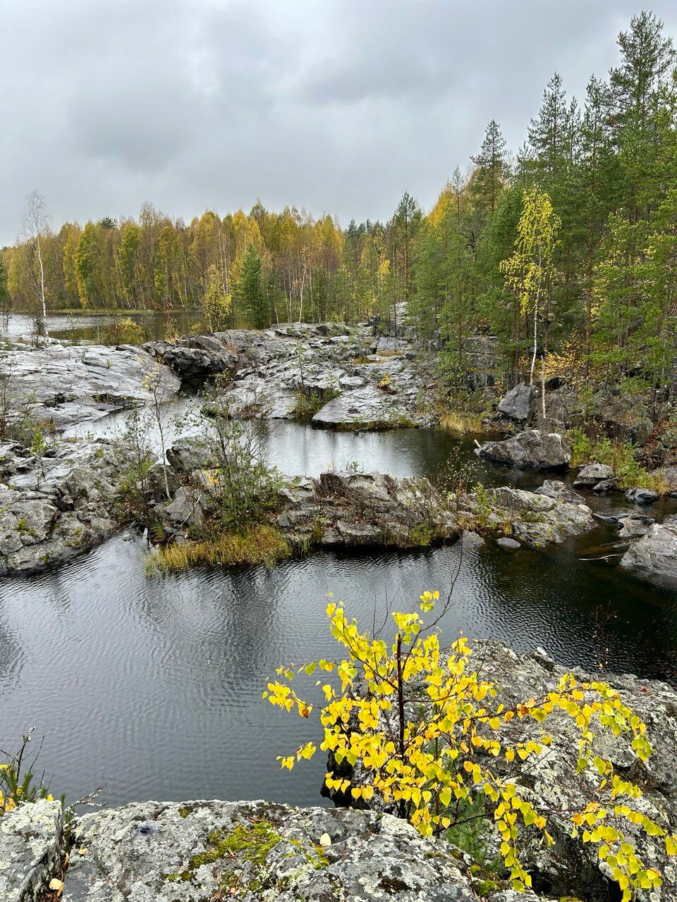 Фото Сандал