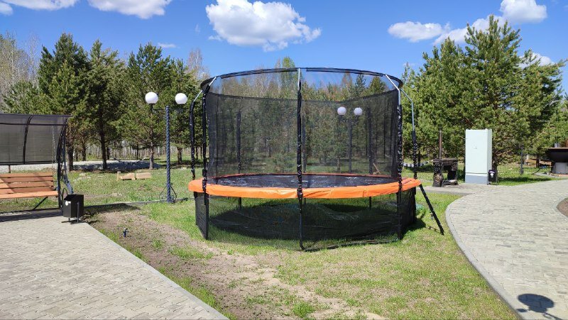 Фото Лесная симфония