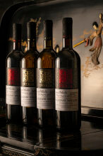 Фото Vedzisi garden hotel