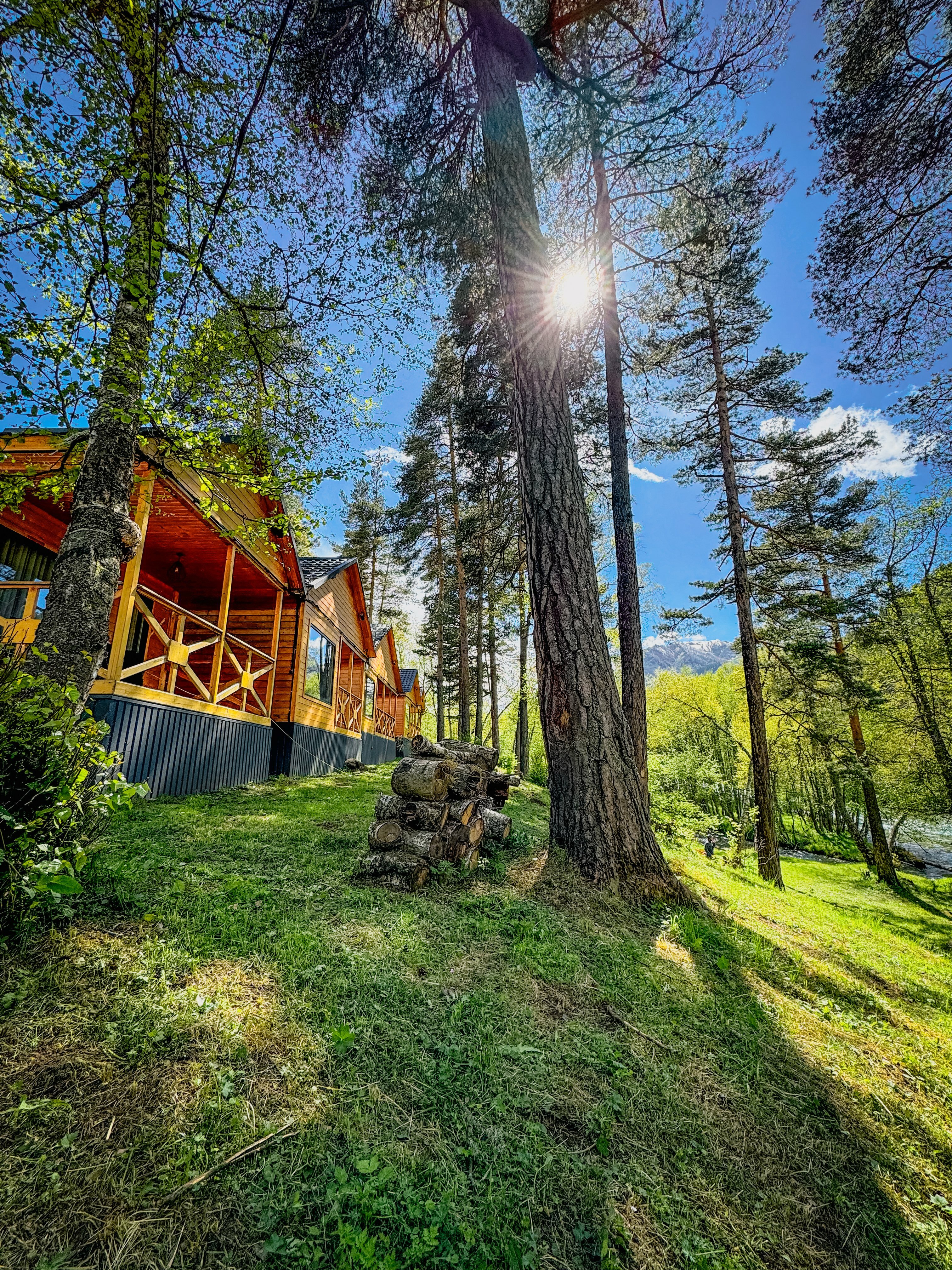 Фото Шале Хвоя