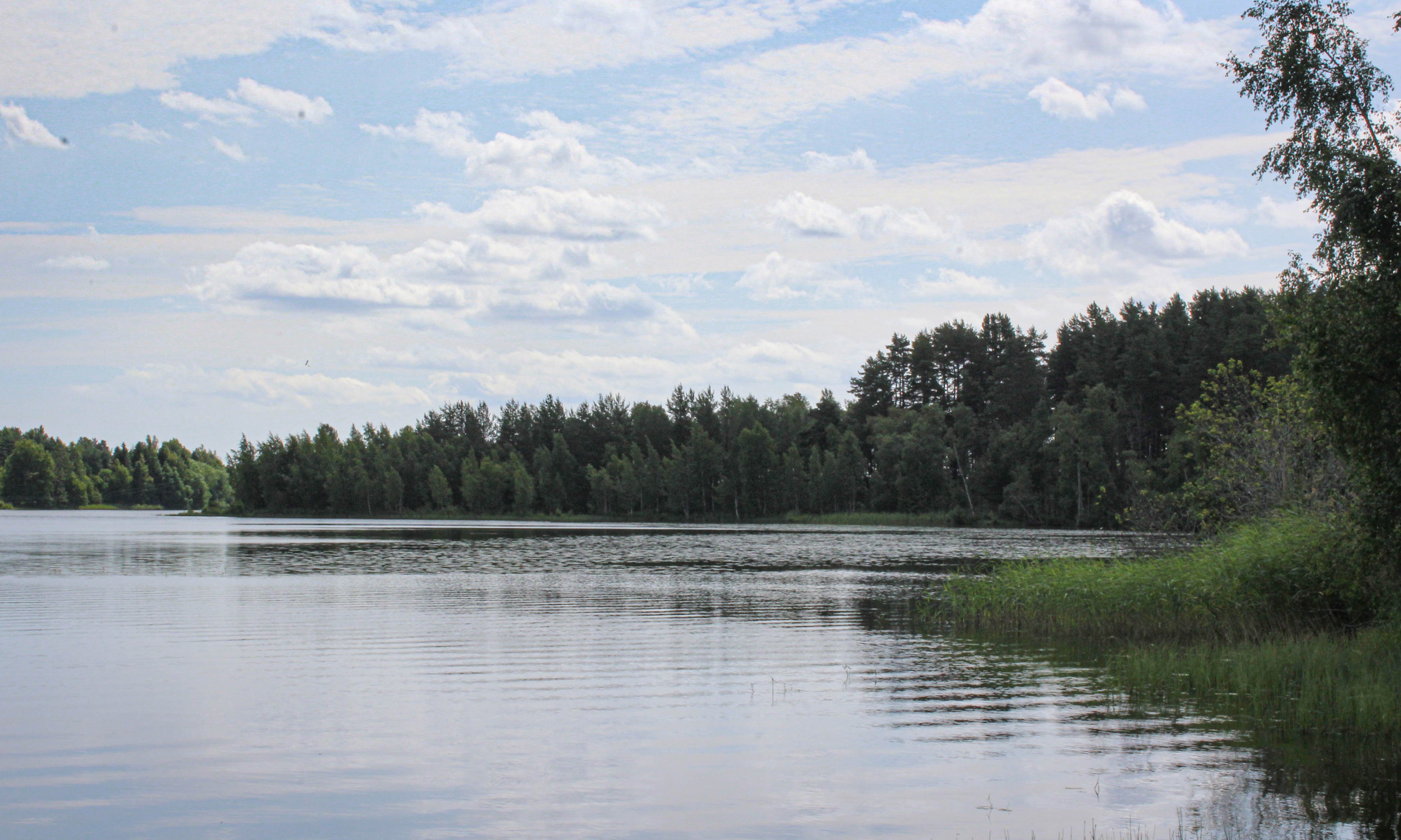 Фото Ладога Хоум - на берегу озера