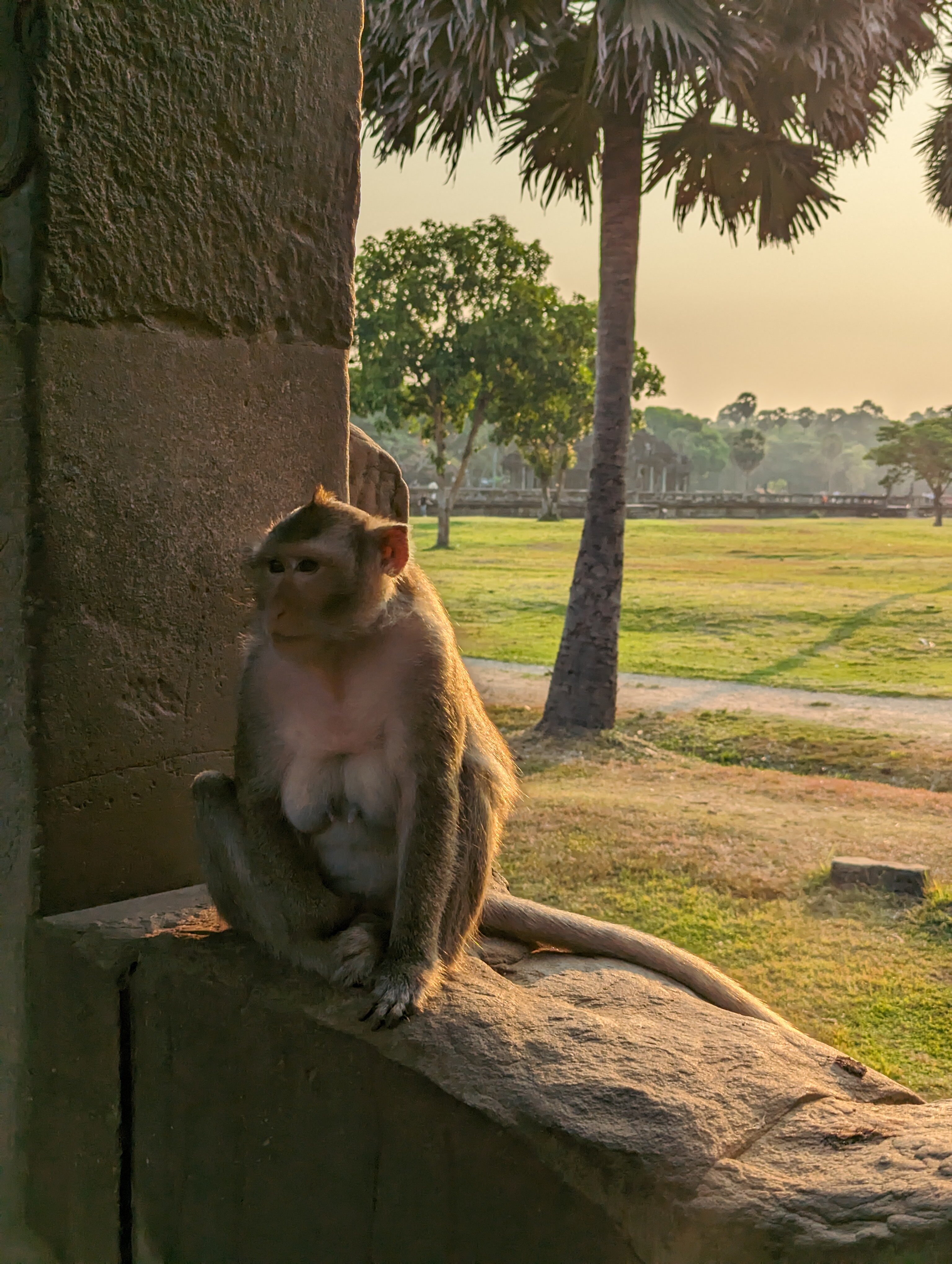 Фото Бутик-Отель Residence Wat Damnak