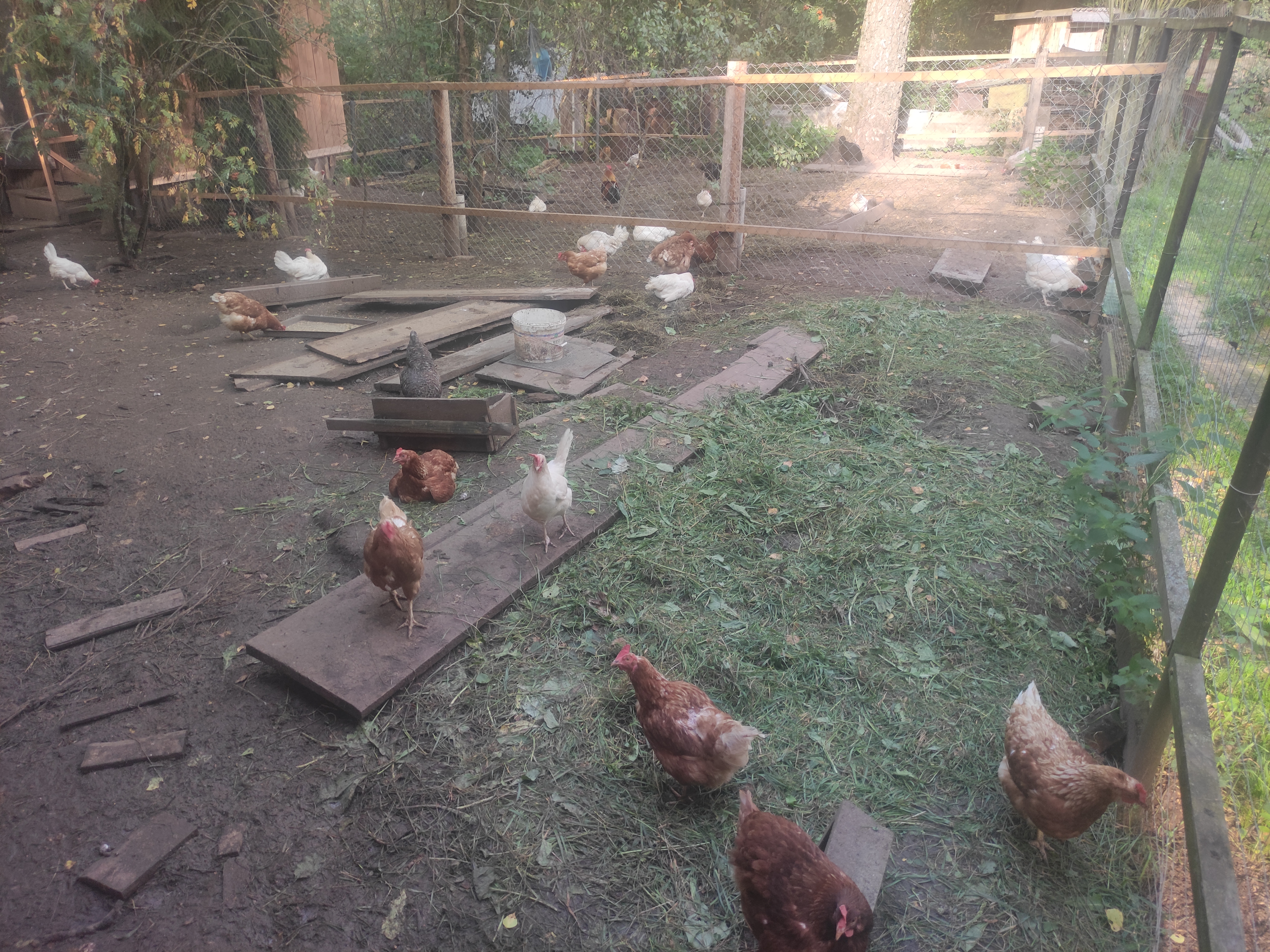 Фото У родника