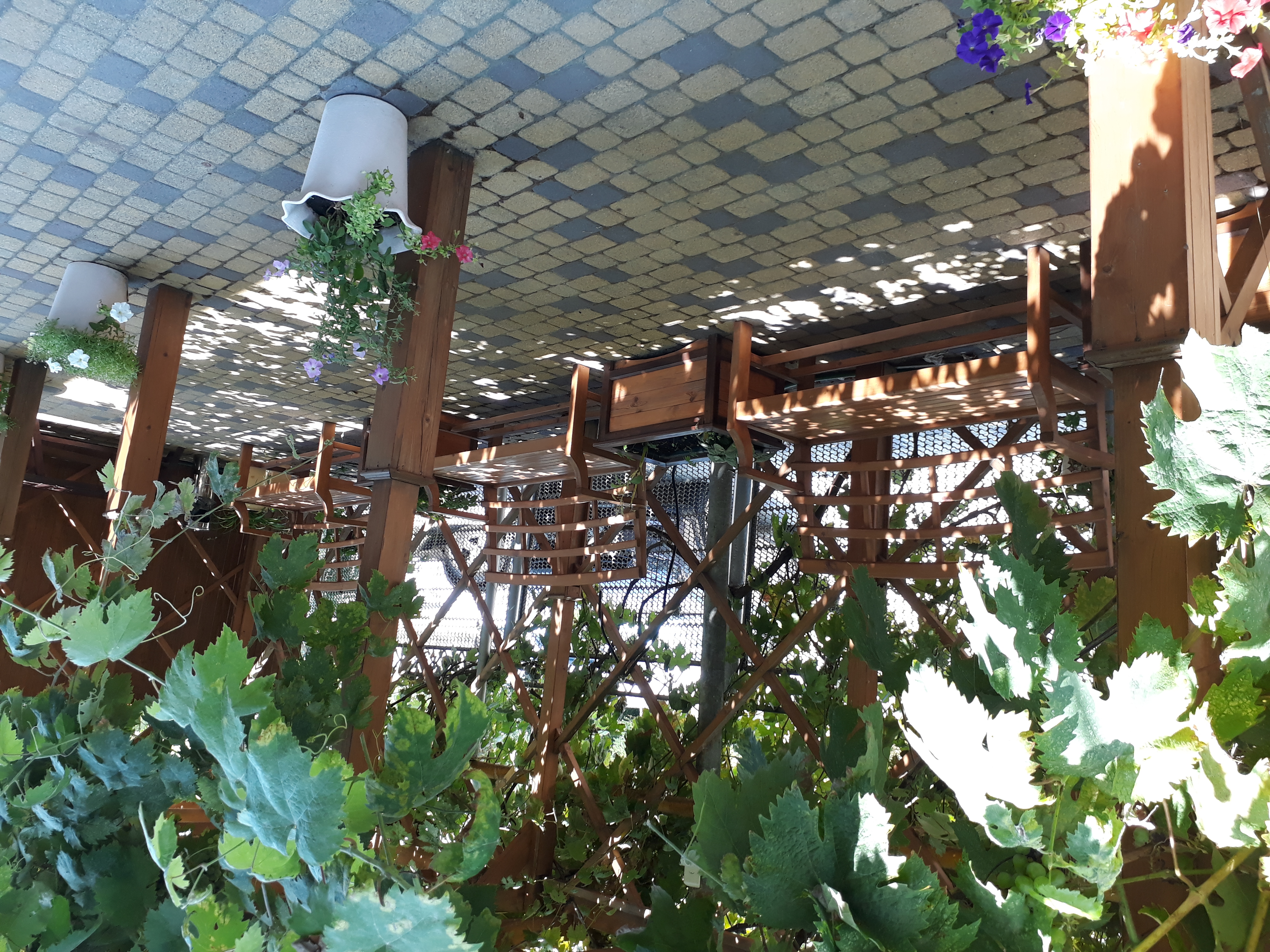 Фото Премьер