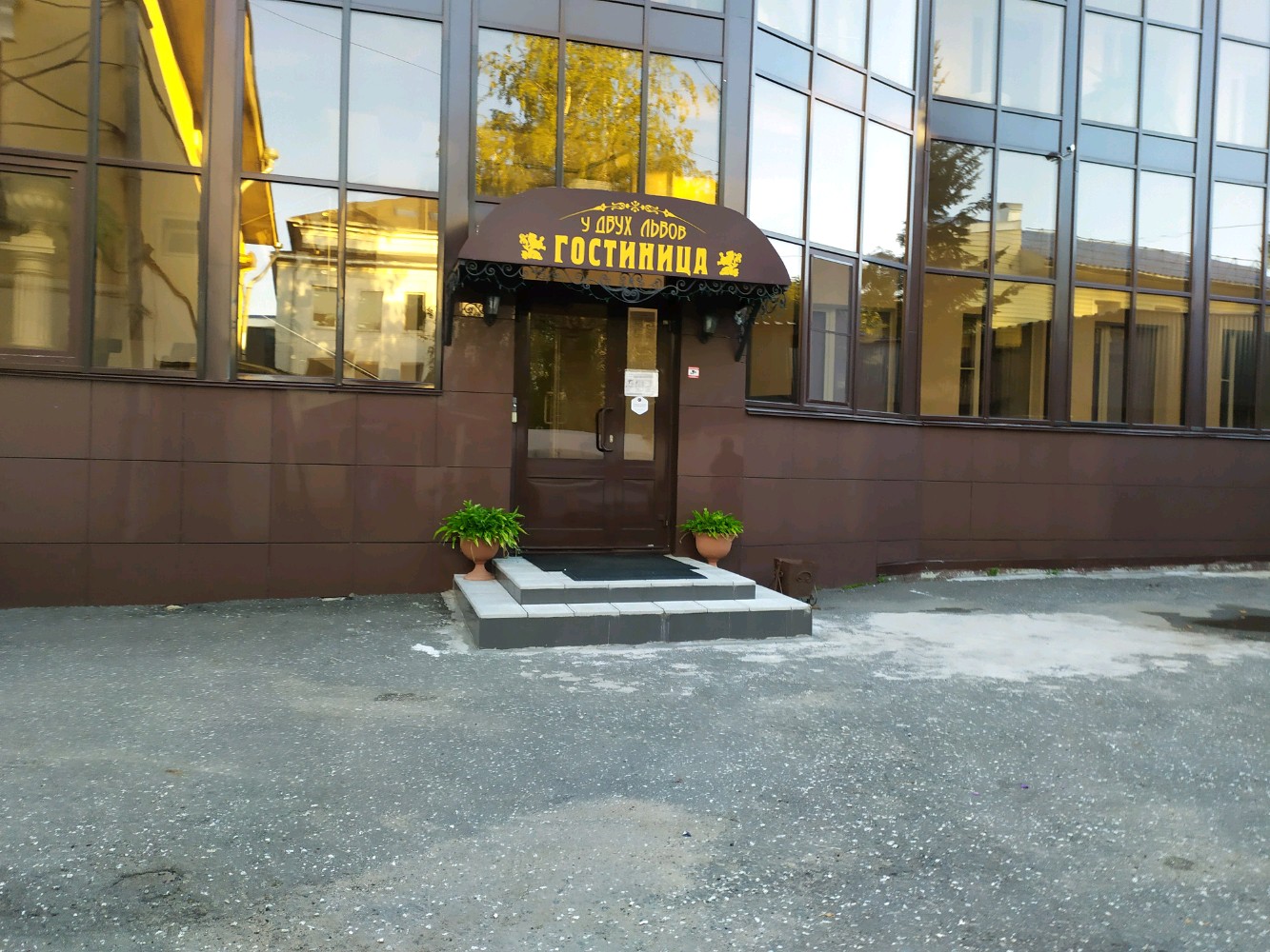 Фото У двух львов