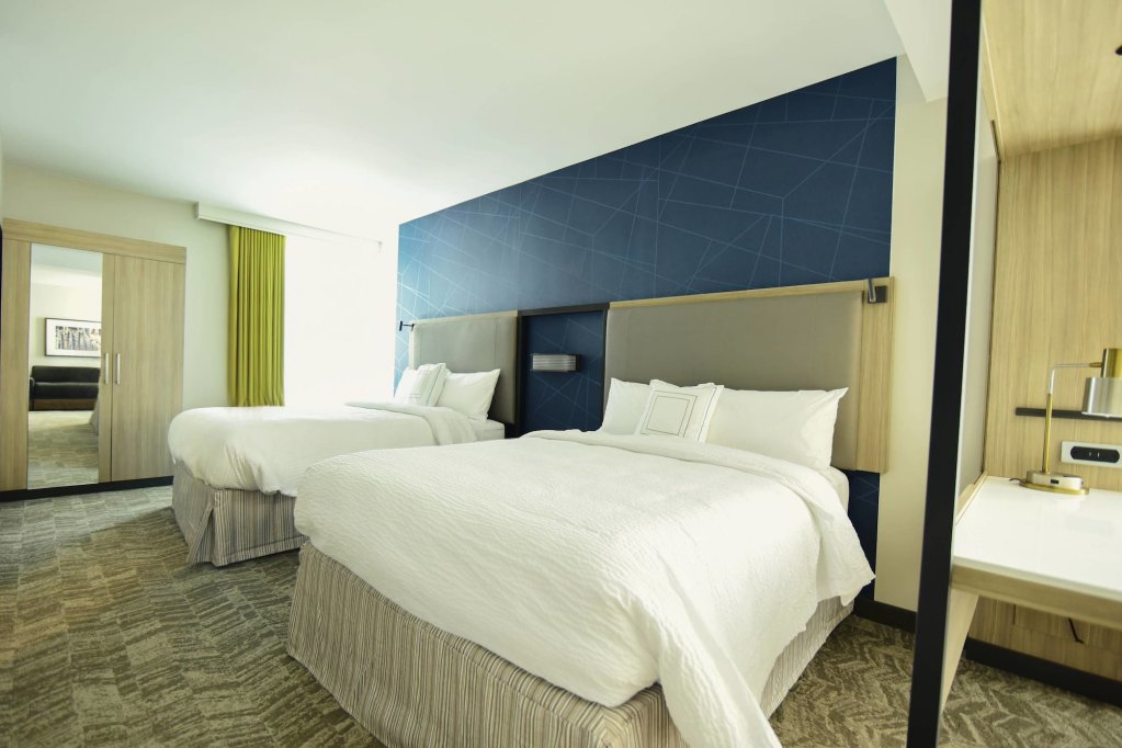Фото SpringHill Suites by Marriott Nashville Downtown/Convention Center