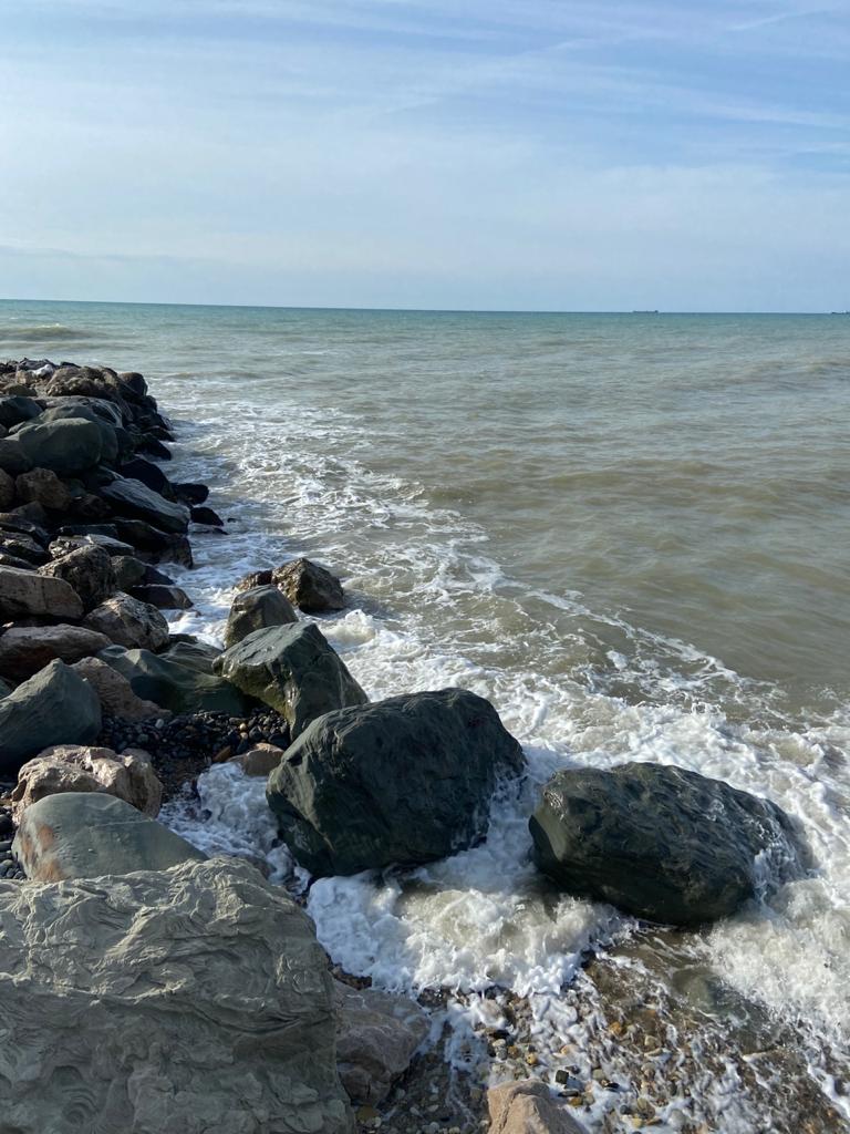 Фото Тихий берег