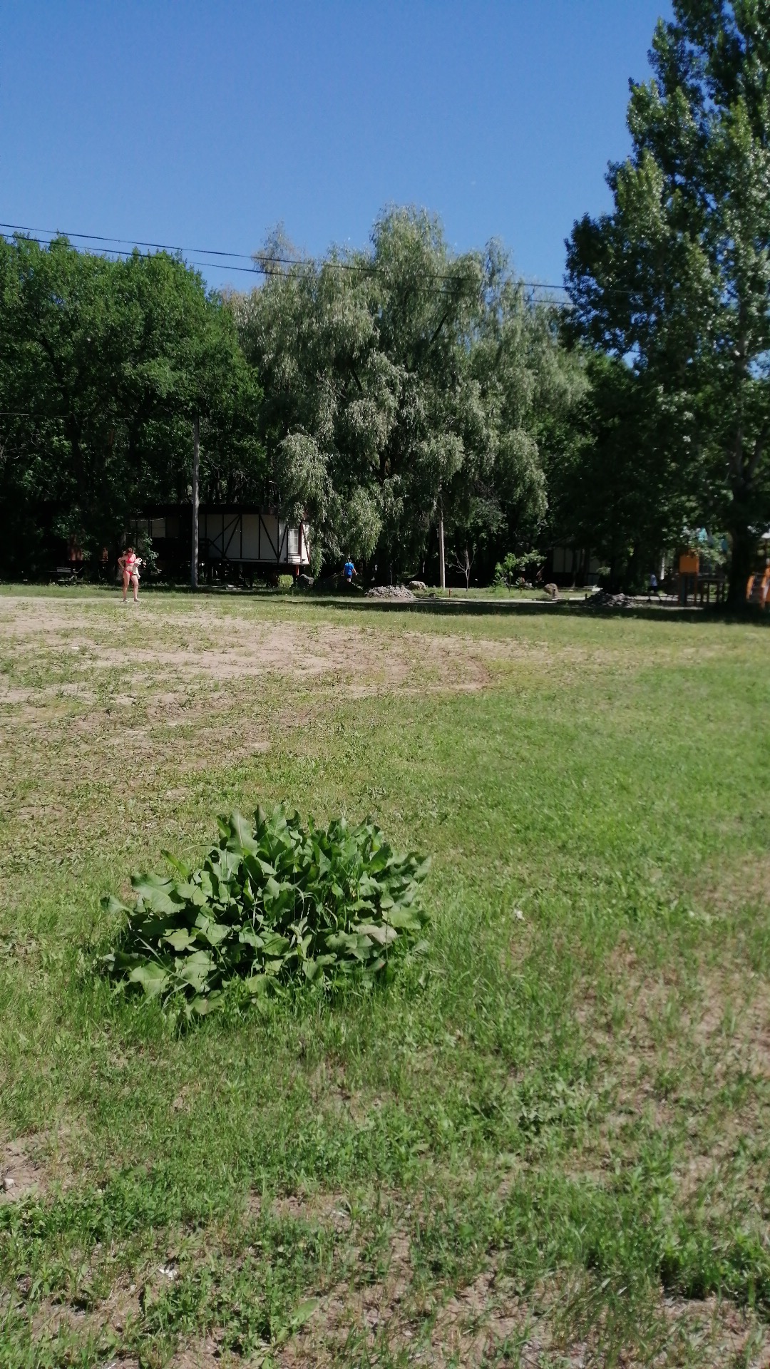 Фото Алымов