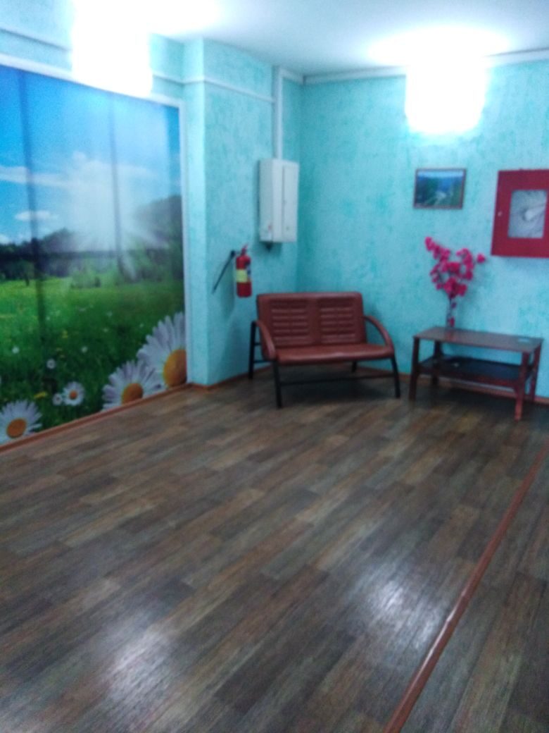 Фото Березка