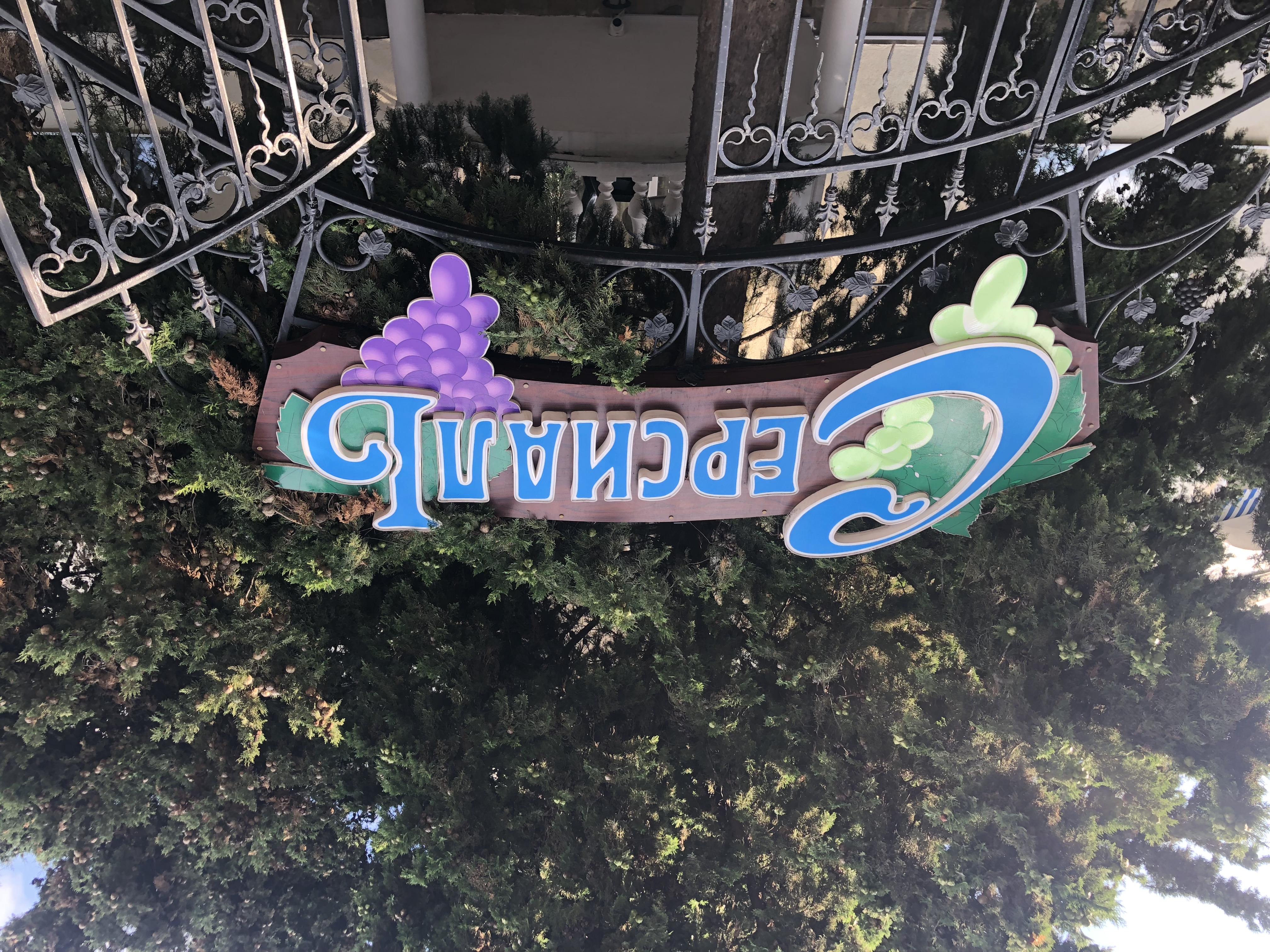 Фото Серсиаль