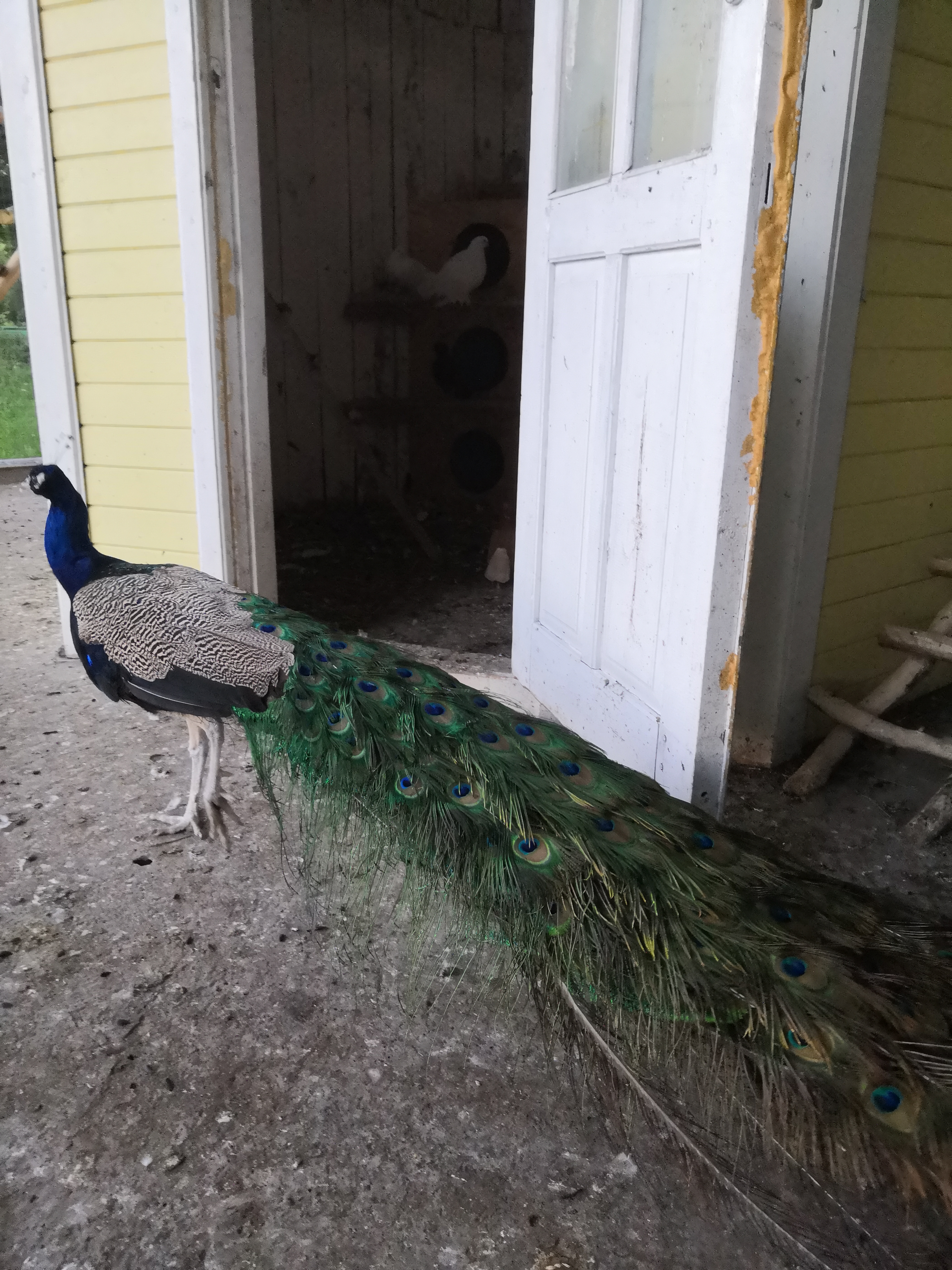 Фото Усадьба Нерса