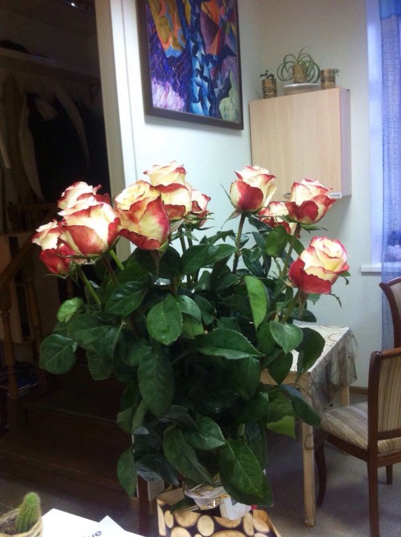 Фото Пара Тапок