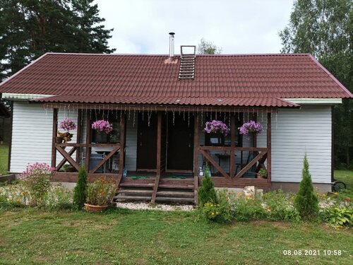Сосновая роща  фото 1