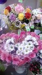 Тимур (Inta, Kuratova Street, 1), flower shop