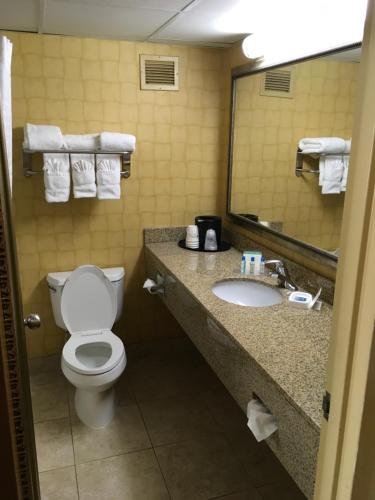 Фото Best Western Plus Charlotte/Matthews Hotel