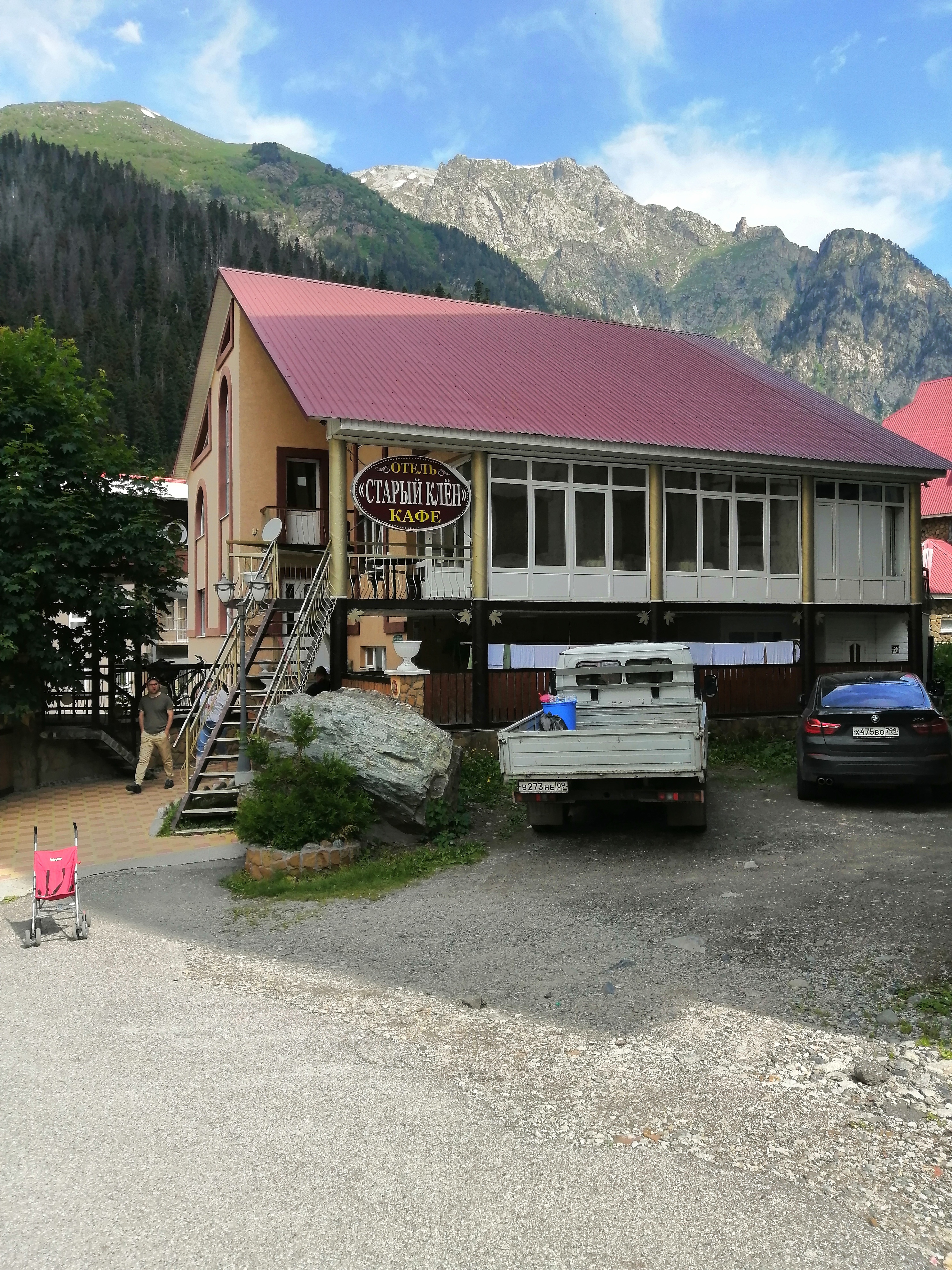 Фото Старый Клён