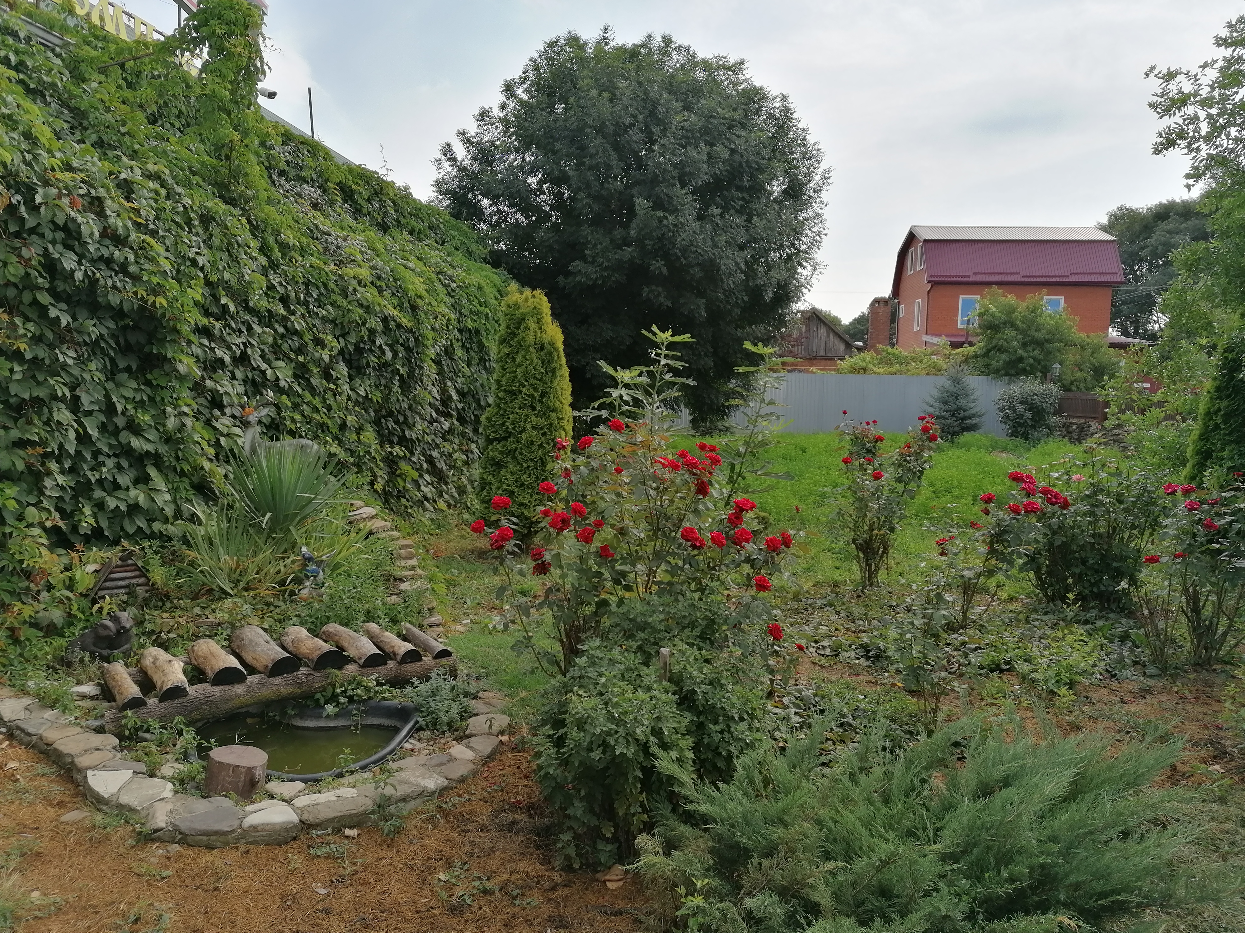 Фото Курени