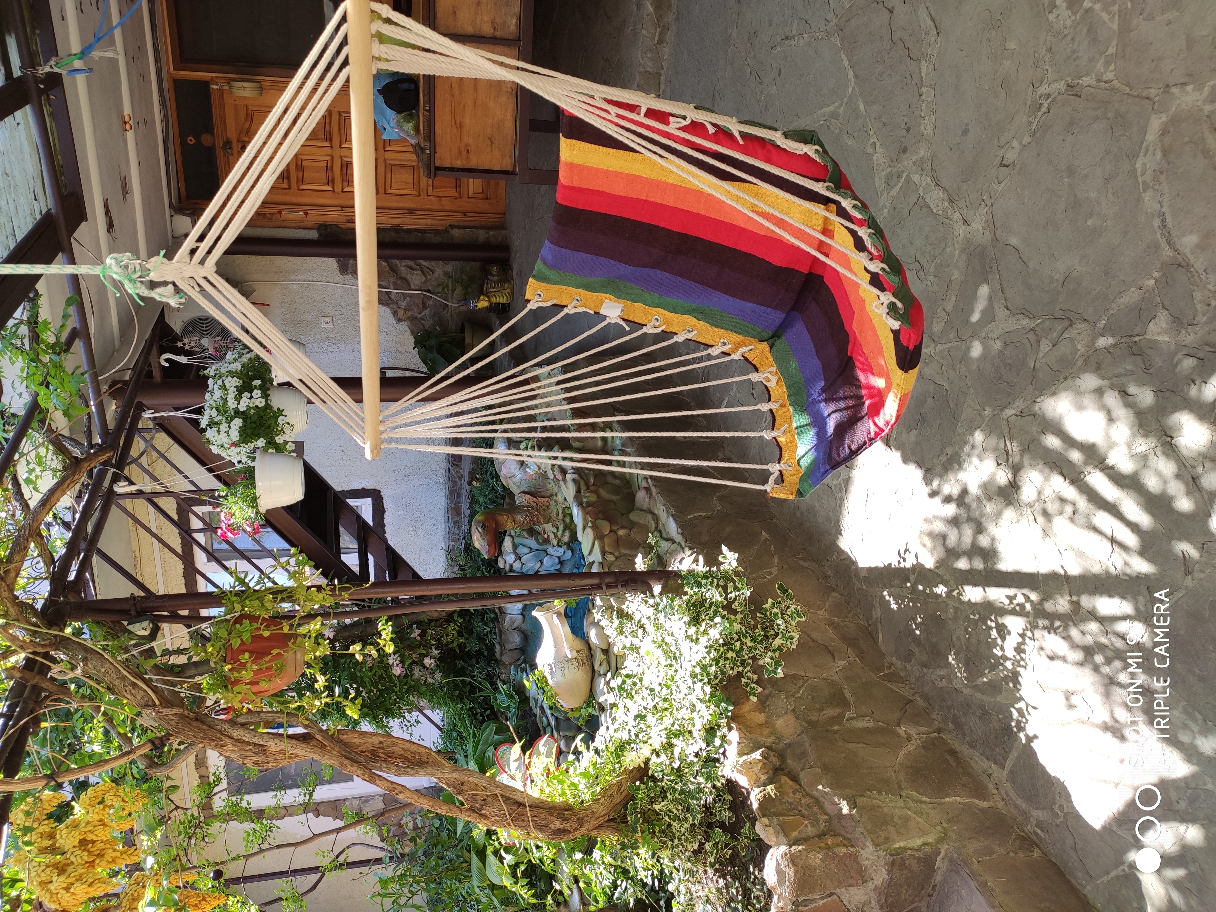 Фото Гостевой дом Вишневских