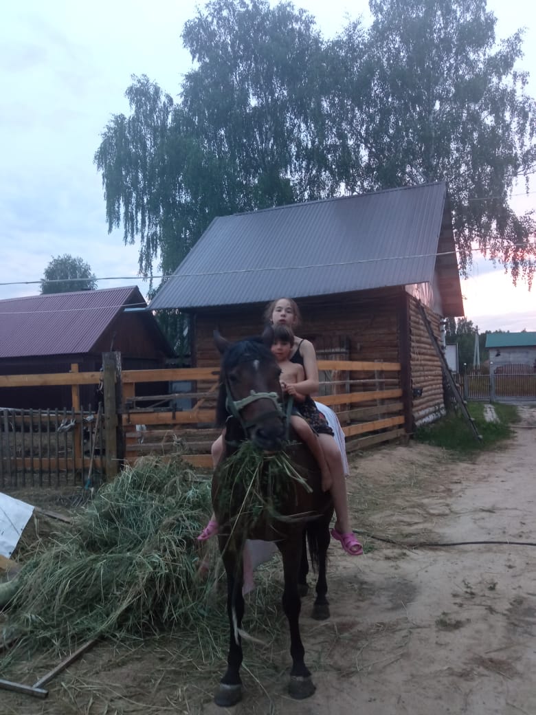 Фото Стрижели