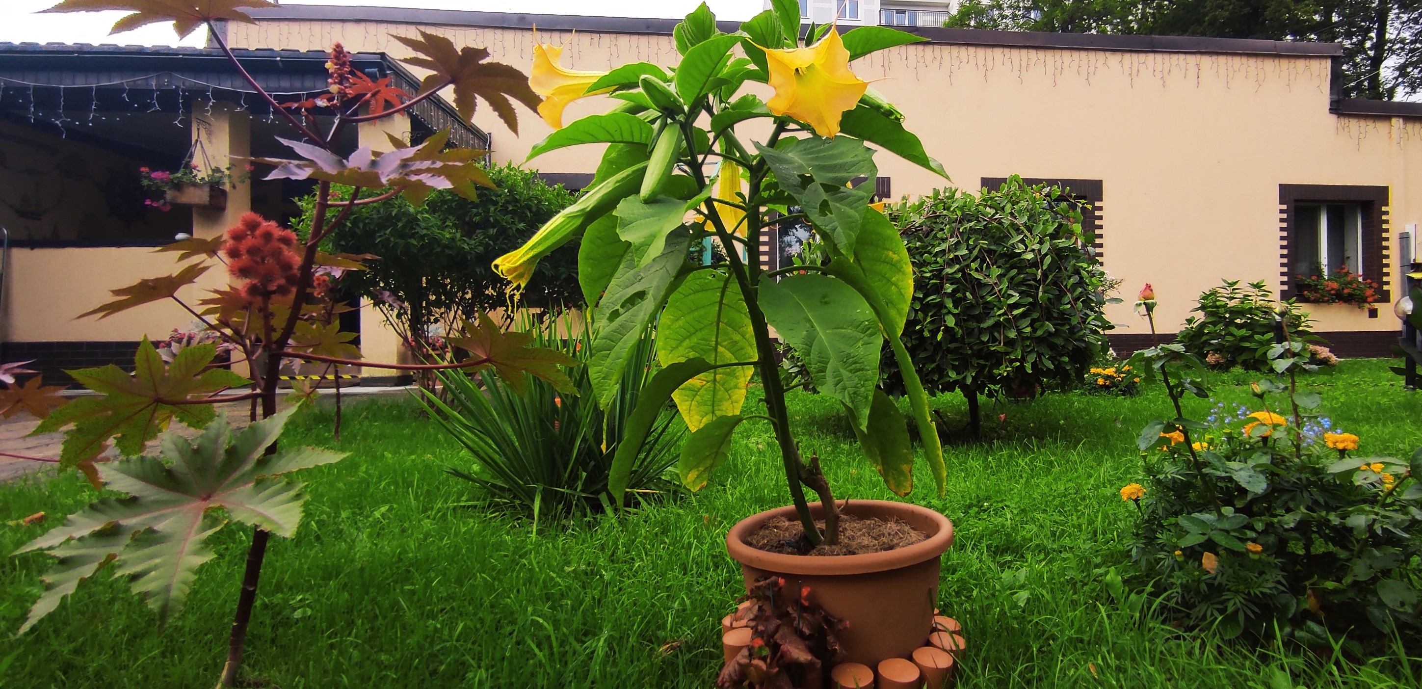 Фото Тихая гавань