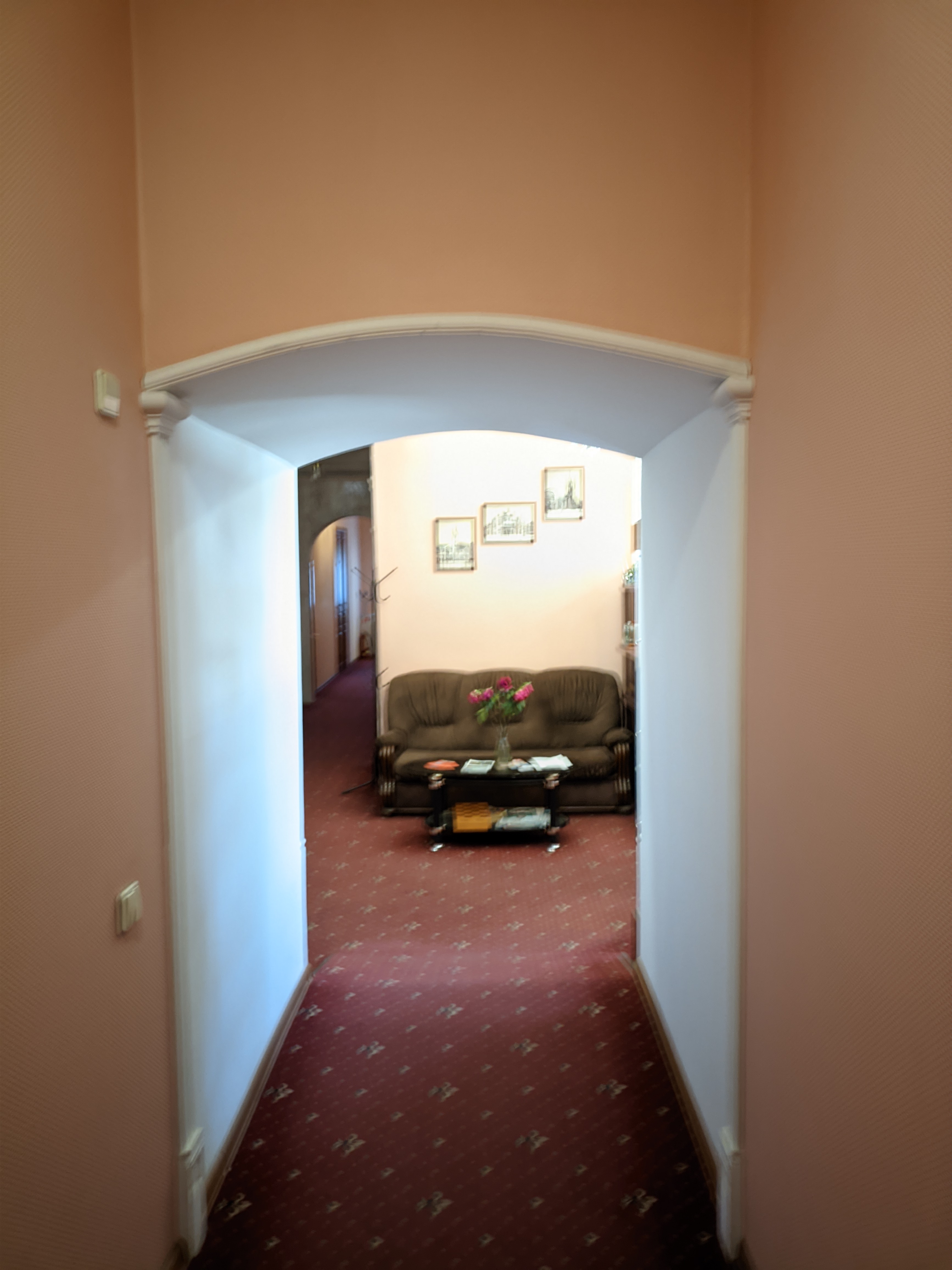 Фото Тоника