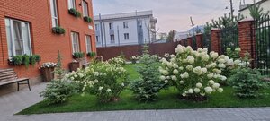 Европа