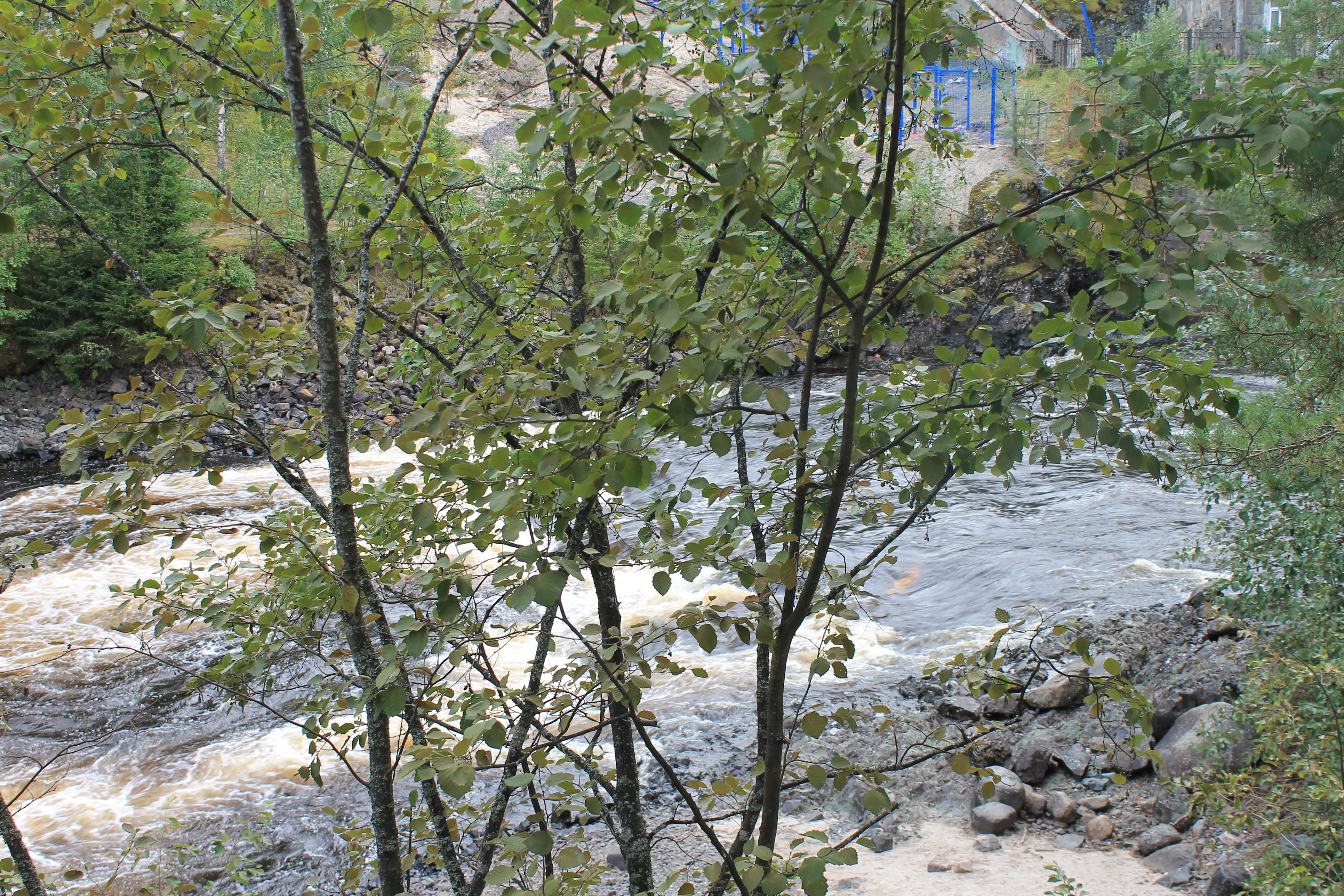 Фото У плотника