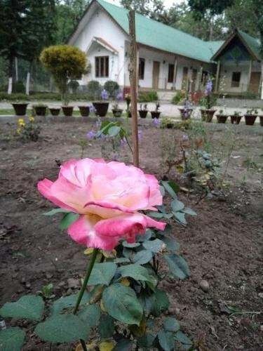 Гостиница The Riverwood Forest Retreat - Dooars в Западной Бенгалии