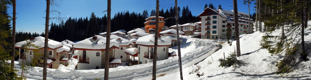 Фото Отель Forest Glade