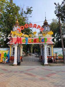 Madagascar (Nizhniy Novgorod, Sormovskiy Park), zoo