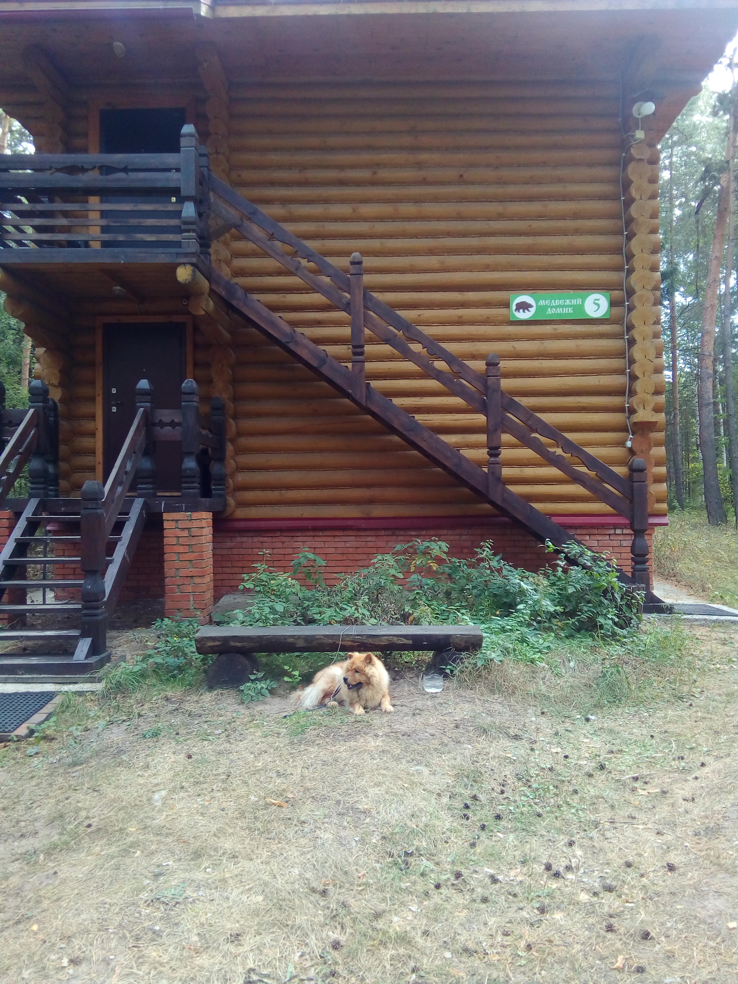 Фото Разнежье