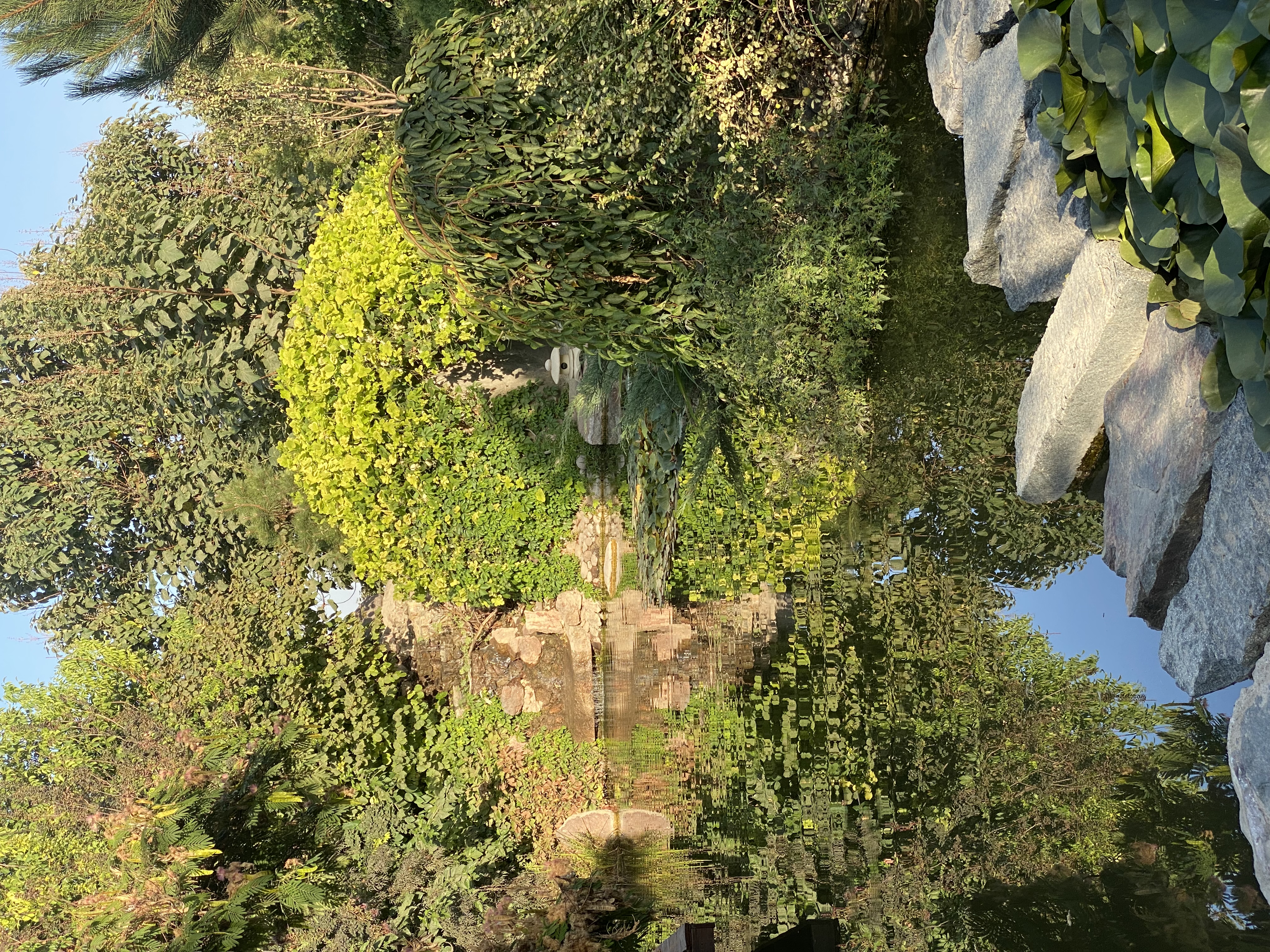 Фото Uzumfermer. uz