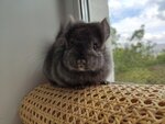 Логотип
