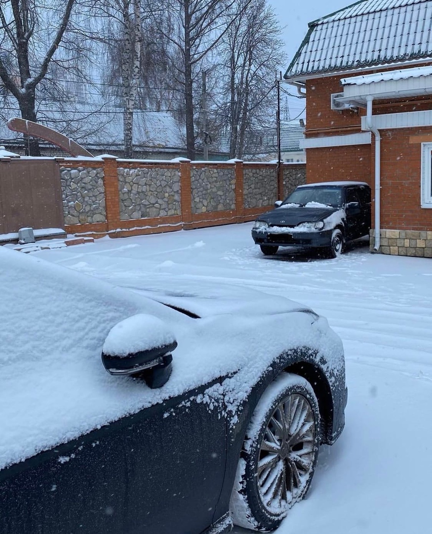 Фото Монарх